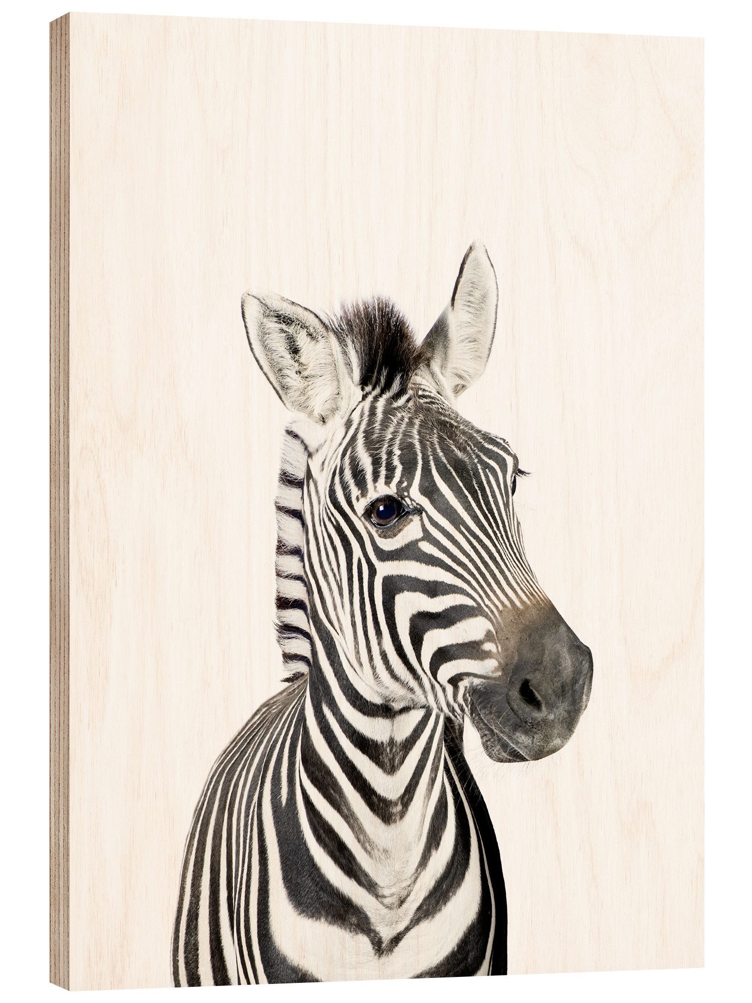 Posterlounge Holzbild Sisi And Seb, Babyzebra, Jungenzimmer Kindermotive