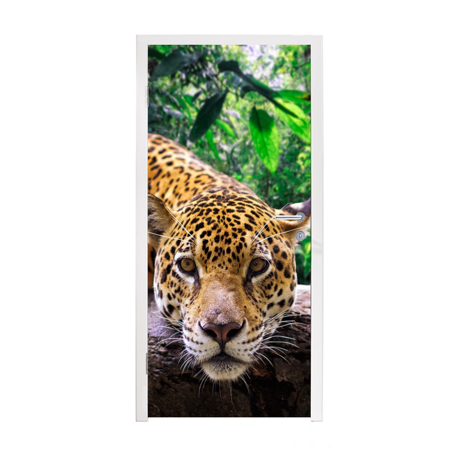 MuchoWow Türtapete Jaguar ruht, Matt, bedruckt, (1 St), Fototapete für Tür, Türaufkleber, 75x205 cm