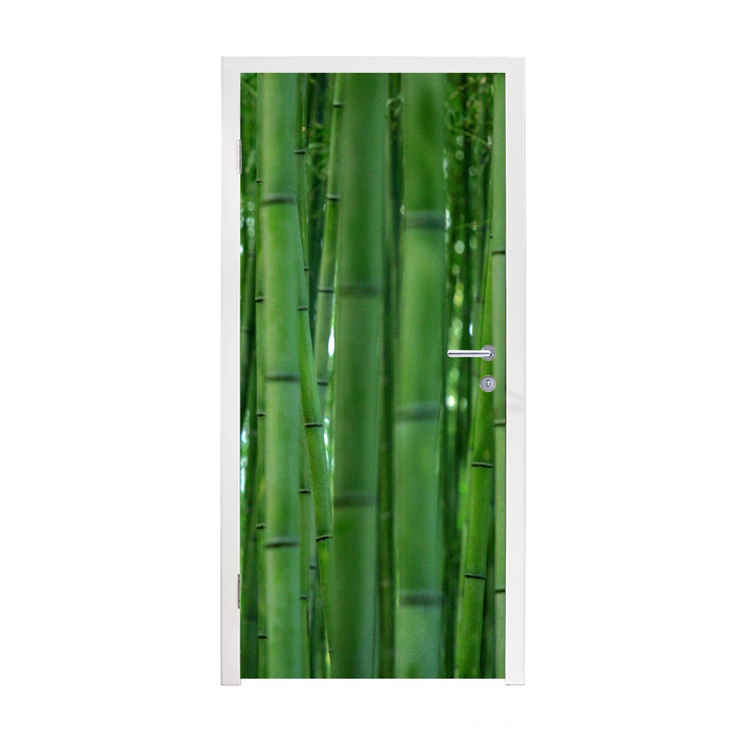 Fototapete (1 cm für der bedruckt, Matt, 75x205 aus Arashiyama-Bambuswald Tür, Türaufkleber, St), MuchoWow Nähe, Türtapete