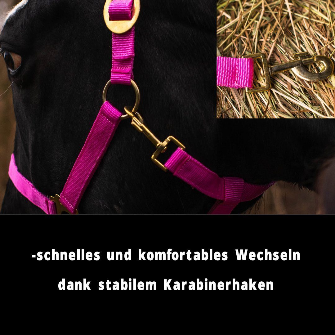 Pferdelinis Halfter Halfter für Pferde 2-Fach verstellbar an Kinnriemen und Genickstück, zweifach verstellbar