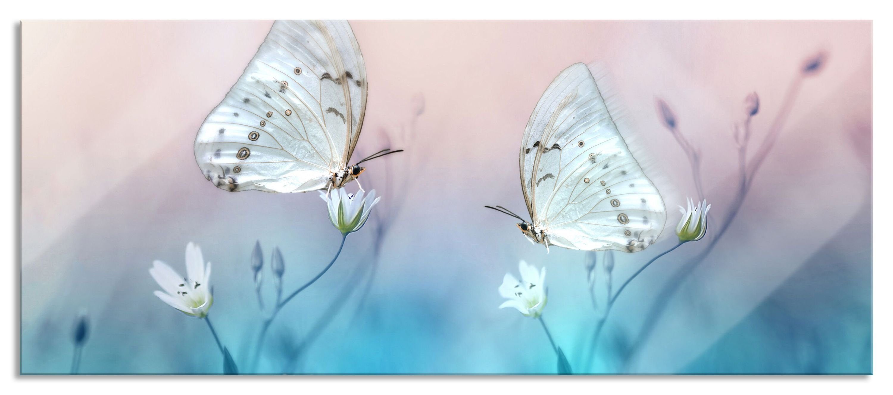 Pixxprint Glasbild Schmetterling auf kleinen Blumen, Schmetterling auf kleinen Blumen (1 St), Glasbild aus Echtglas, inkl. Aufhängungen und Abstandshalter