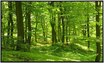 Papermoon Infrarotheizung Wald im Frühling, sehr angenehme Strahlungswärme