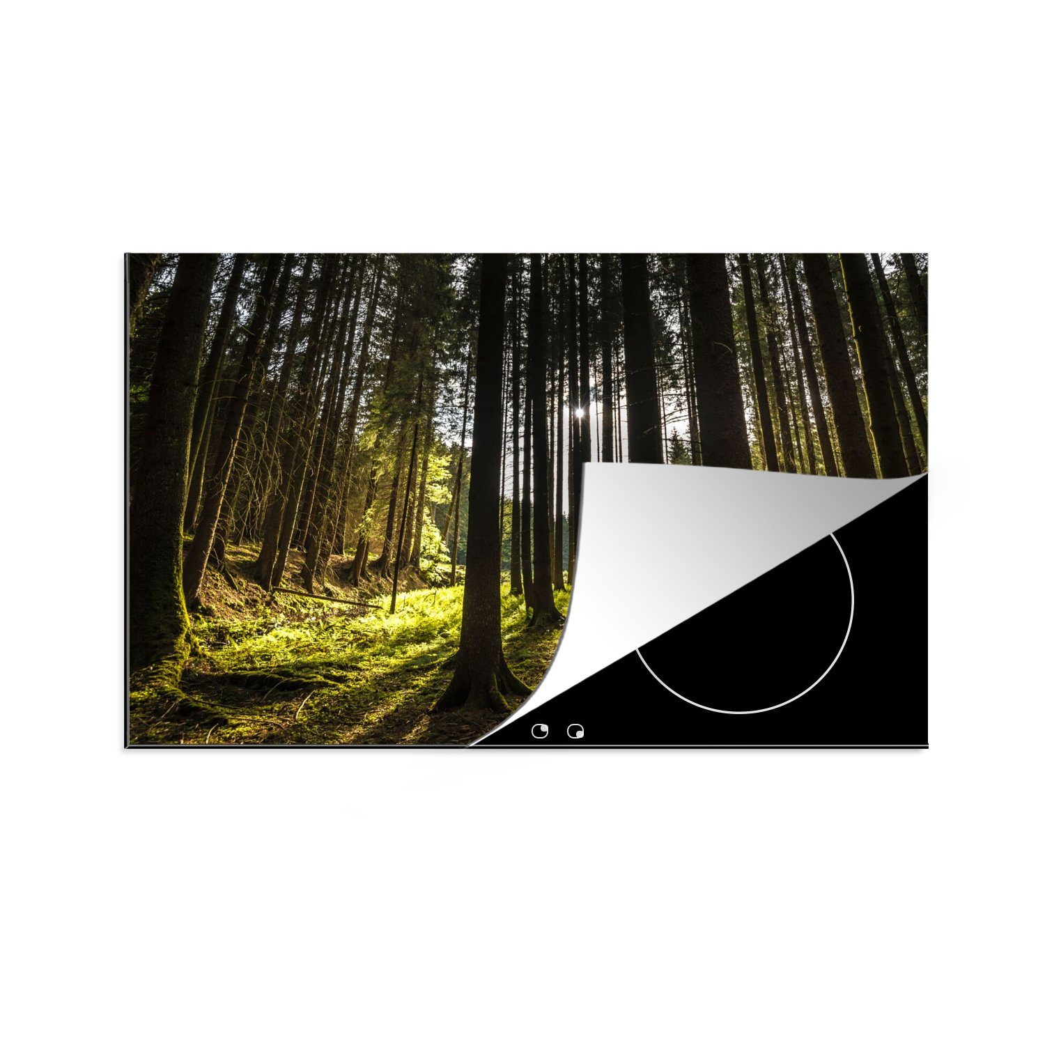 MuchoWow Herdblende-/Abdeckplatte Baum - Natur - Sonne - Wald, Vinyl, (1 tlg), 80x52 cm, Induktionskochfeld Schutz für die küche, Ceranfeldabdeckung