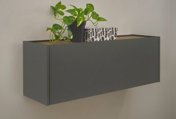 Furn.Design Wandhängeschrank Center, Lowboard in grau mit Wotan Eiche, 100 cm, mit Klappe