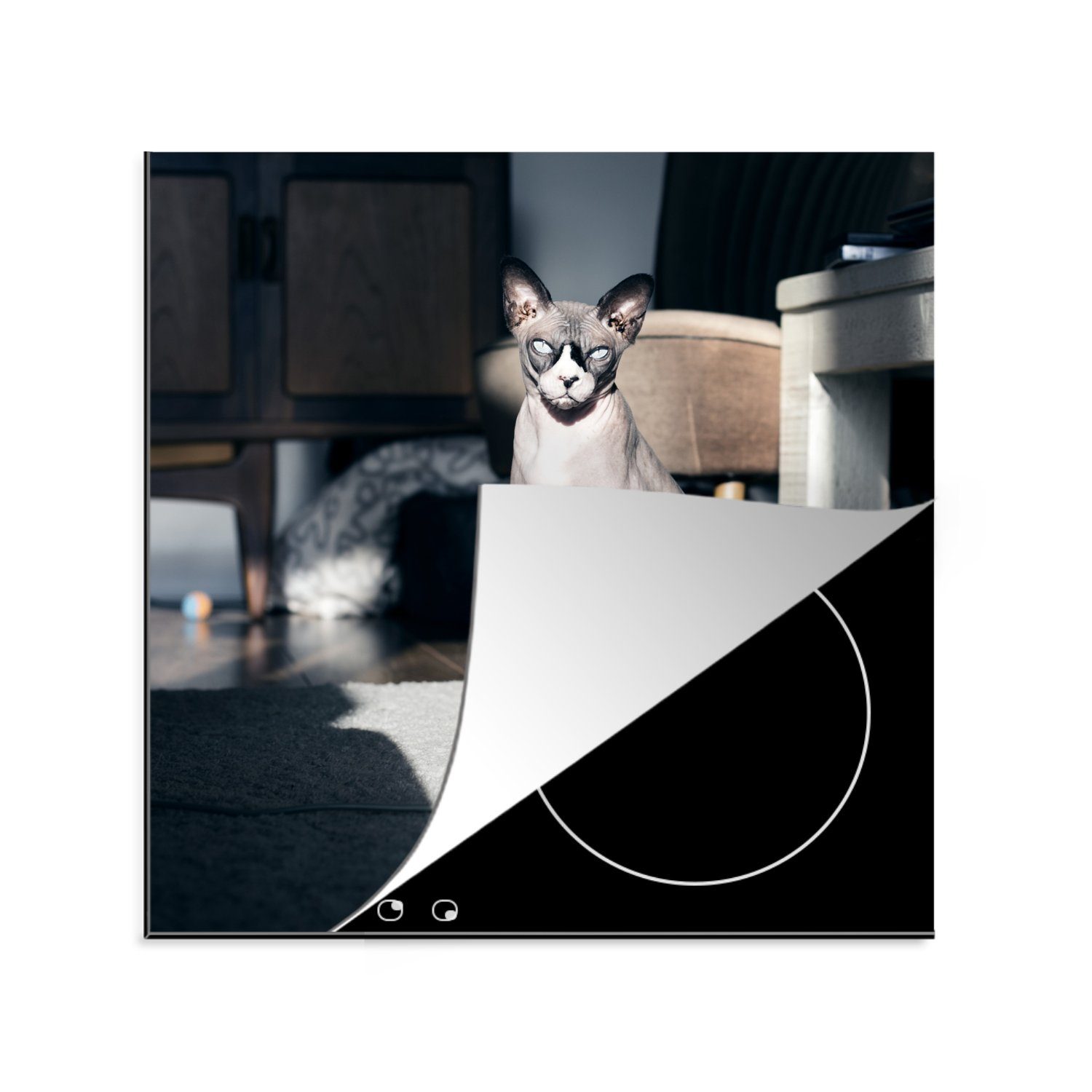 MuchoWow Herdblende-/Abdeckplatte Sonnenstrahlen auf der Sphynx-Katze, Vinyl, (1 tlg), 78x78 cm, Ceranfeldabdeckung, Arbeitsplatte für küche