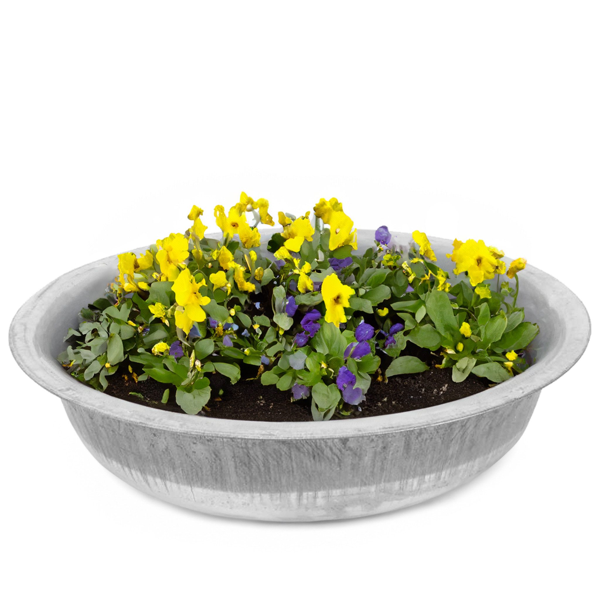 matches21 HOME & HOBBY Blumentopf Zinkwanne Zink-Schale als runde Pflanzschale Deko-Schale 64 x 16 cm (1 St), Große Garten Metall-Schale Pflanzkübel Blumenschale für draußen