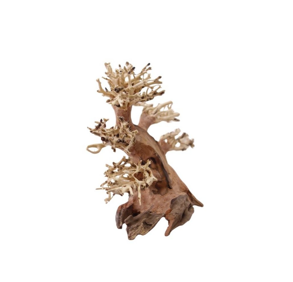Thumbnail - Aquaone Aquarium M Bonsai Baum Nr.1009 Wurzel Holz Aquarium Deko Aquascaping