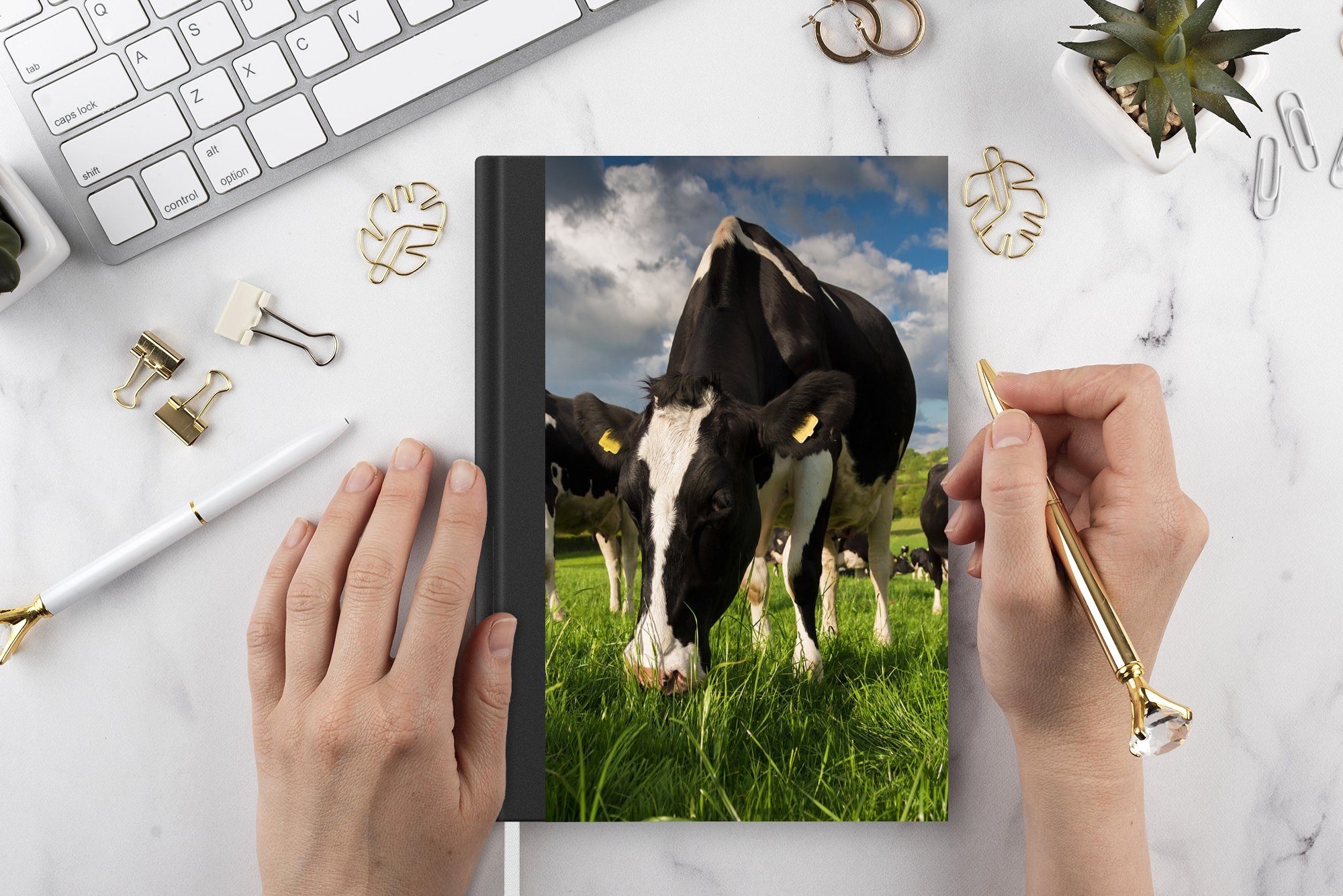 Journal, 98 Seiten, A5, - Kühe Haushaltsbuch - Tiere Wiese Tagebuch, Notizbuch - Gras - MuchoWow Merkzettel, Bauernhof, Notizheft,