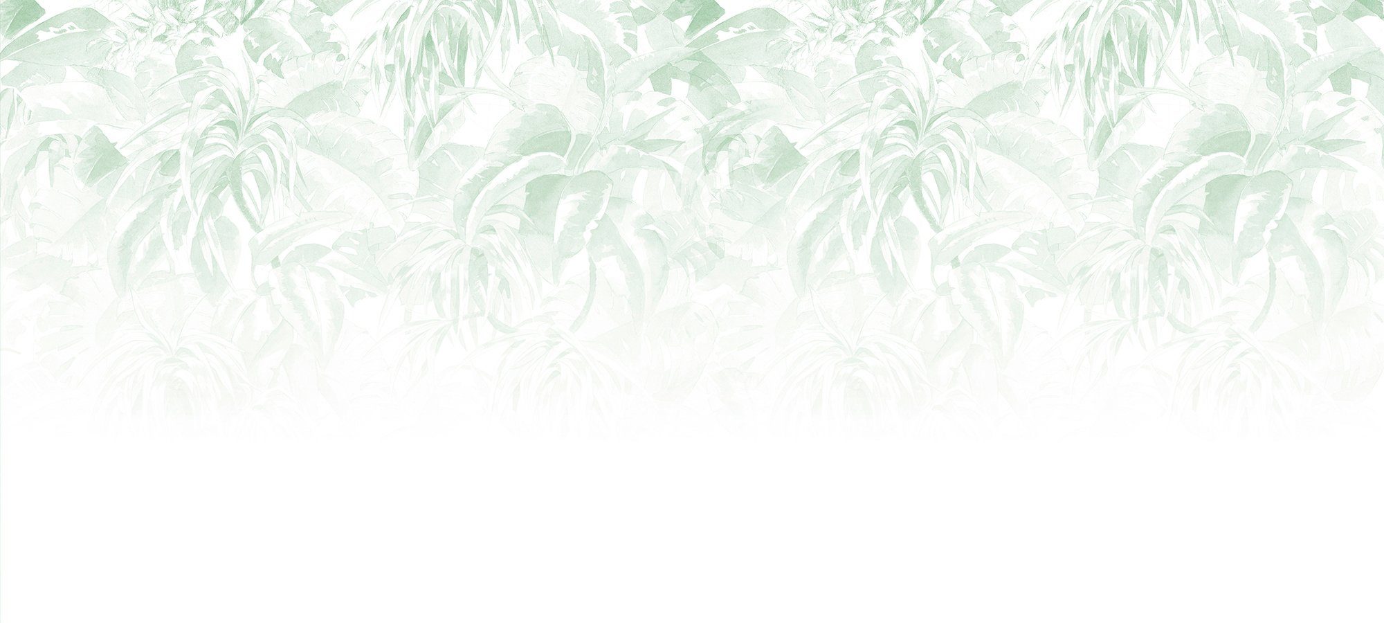 Schräge, 47 Artwork Fototapete glatt, botanisch, weiß/hellgrün/creme Architects Wand, 1, Vlies, Leaves Atelier (6 Decke St), Paper