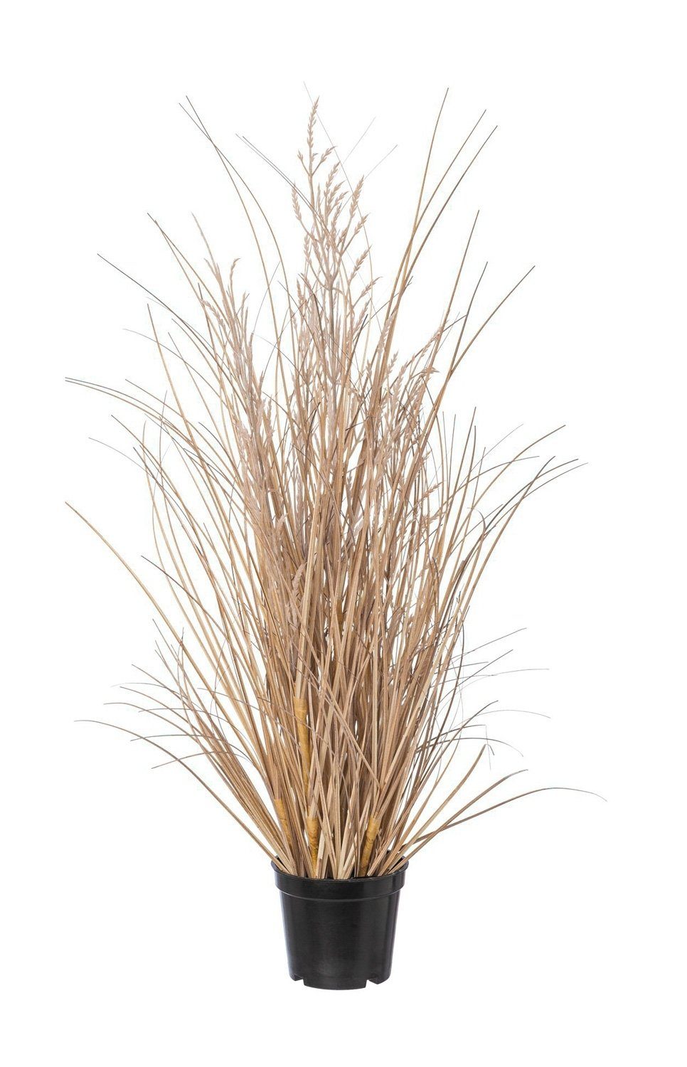 Kunstgras ELKARSO, Braun, Kunststoff, Kunstpflanze, Gras, Gasper, Höhe 60,00 cm, im Kunststofftopf