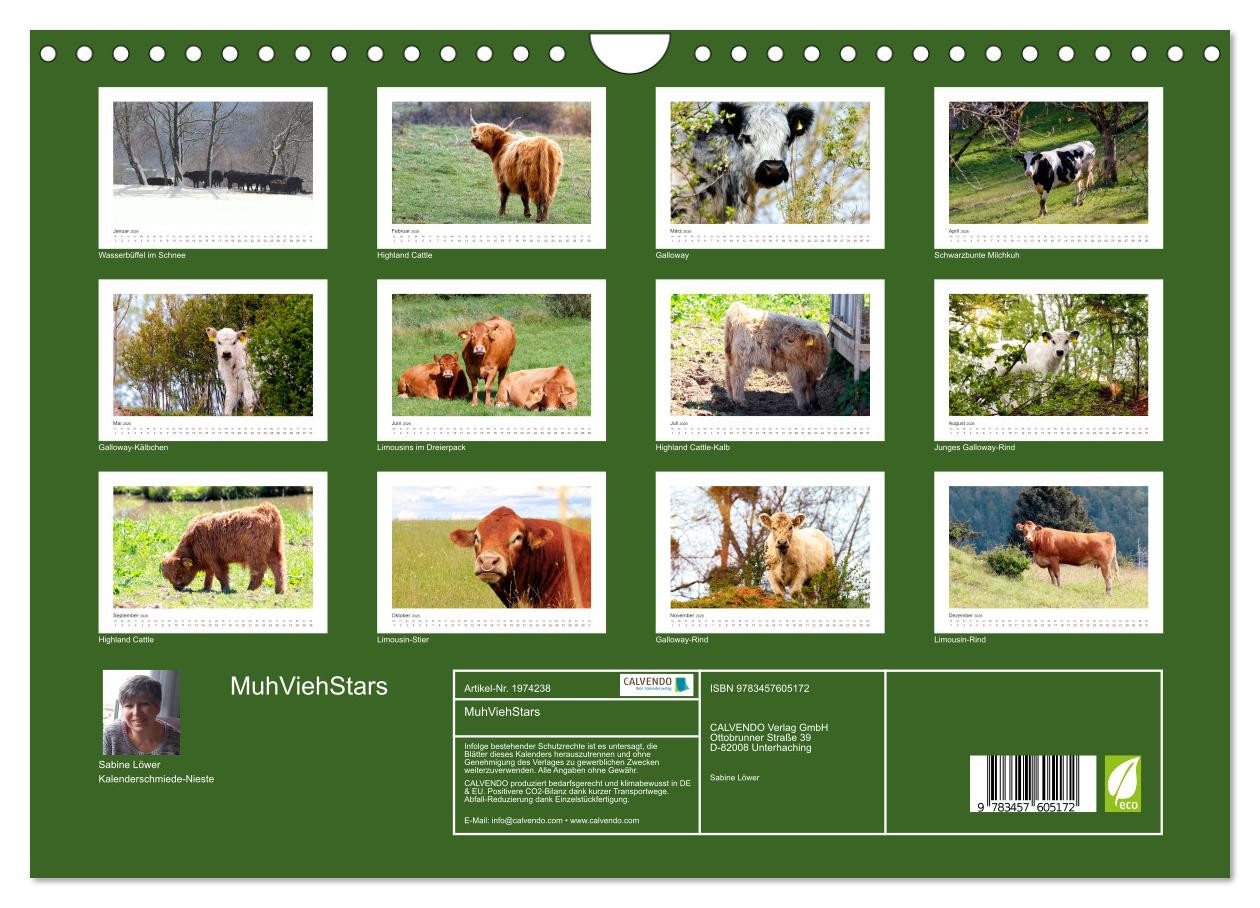 Thumbnail - CALVENDO Wandkalender MuhViehStars (Wandkalender 2026 DIN A4 quer), CALVENDO Monatskalender