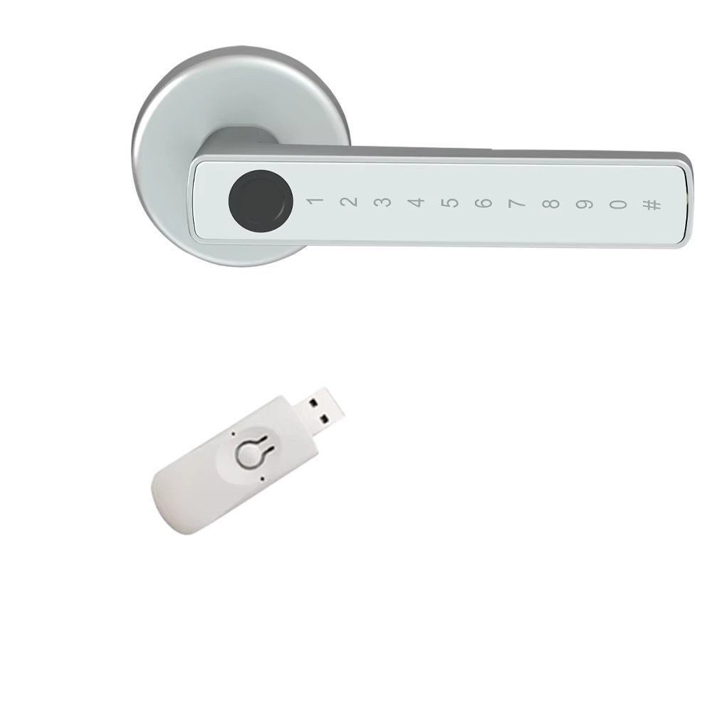 Schiebetürschloss M5 Türschloss Fingerprint Bluetooth Code Keycard Smart DE.