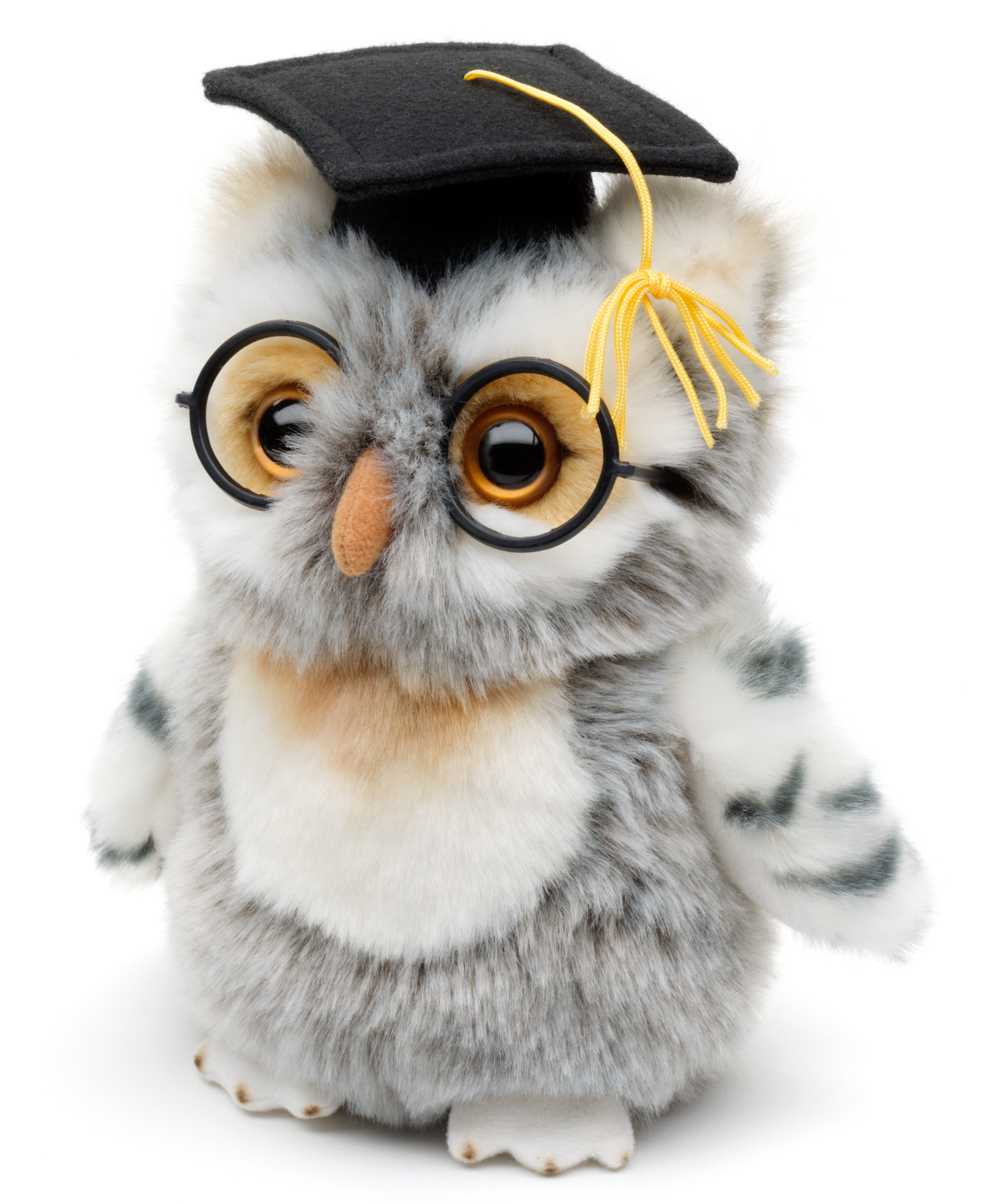 Uni-Toys Kuscheltier Eule mit Doktorhut und Brille - 18 cm (Höhe) - Plüsch, günstig online kaufen
