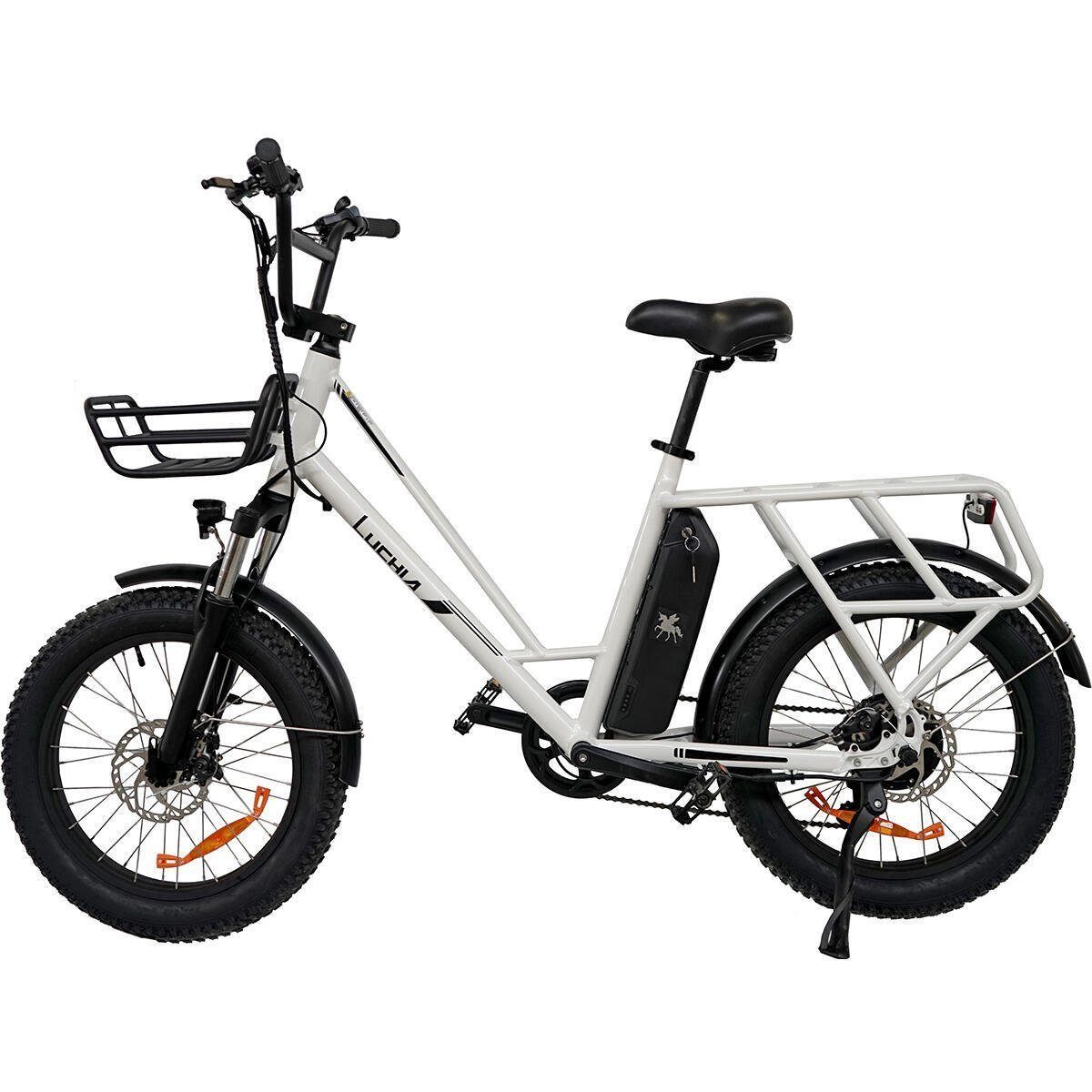 Gotagee E-Bike Elektrofahrrad Aluminium 20 Zoll, türkis, 250 W,Tauro E-Bike 6 Gänge, 6 Gang, Heckmotor, (set) Weiß
