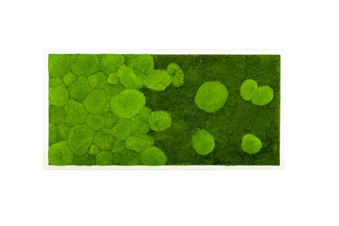 Moos-Design Bilderrahmen Moos Bild River Design günstig online kaufen