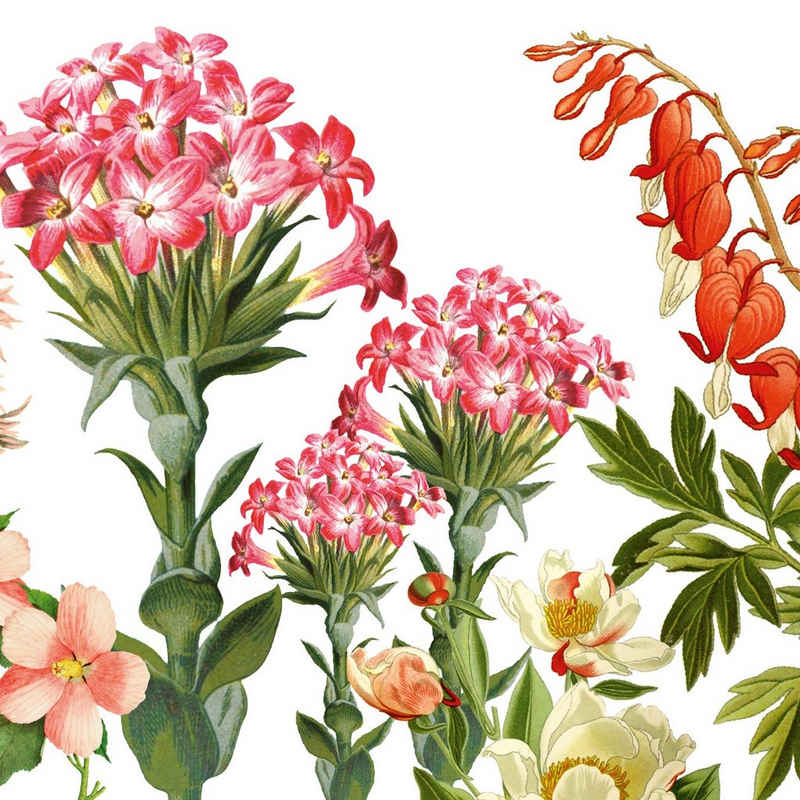 anna wand Bordüre Blumengarten rosarot/grün auf weiß - selbstklebend, botanisch, selbstklebend