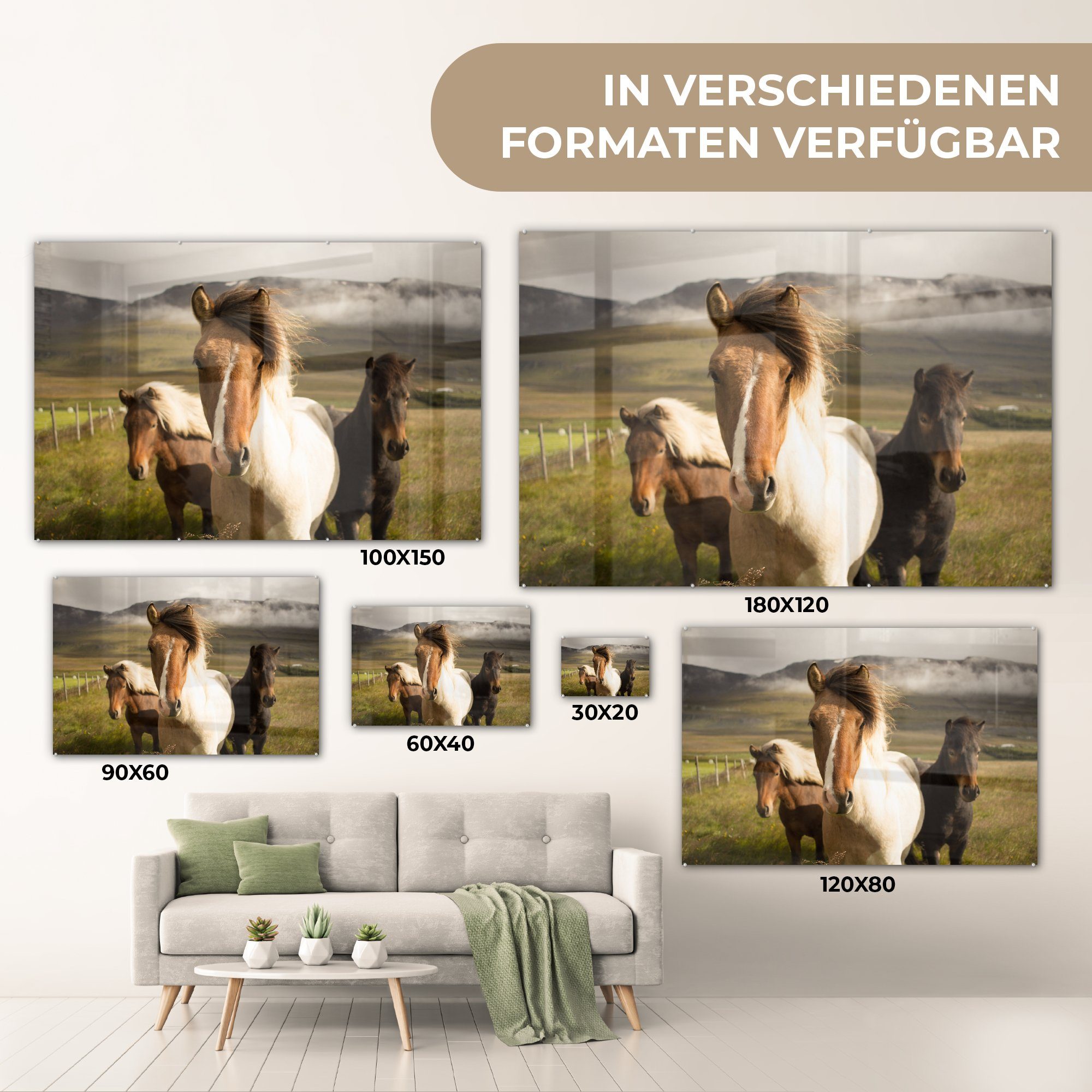 MuchoWow Acrylglasbild Pferde - Tiere (1 St), - Schlafzimmer & Wohnzimmer Acrylglasbilder Gras