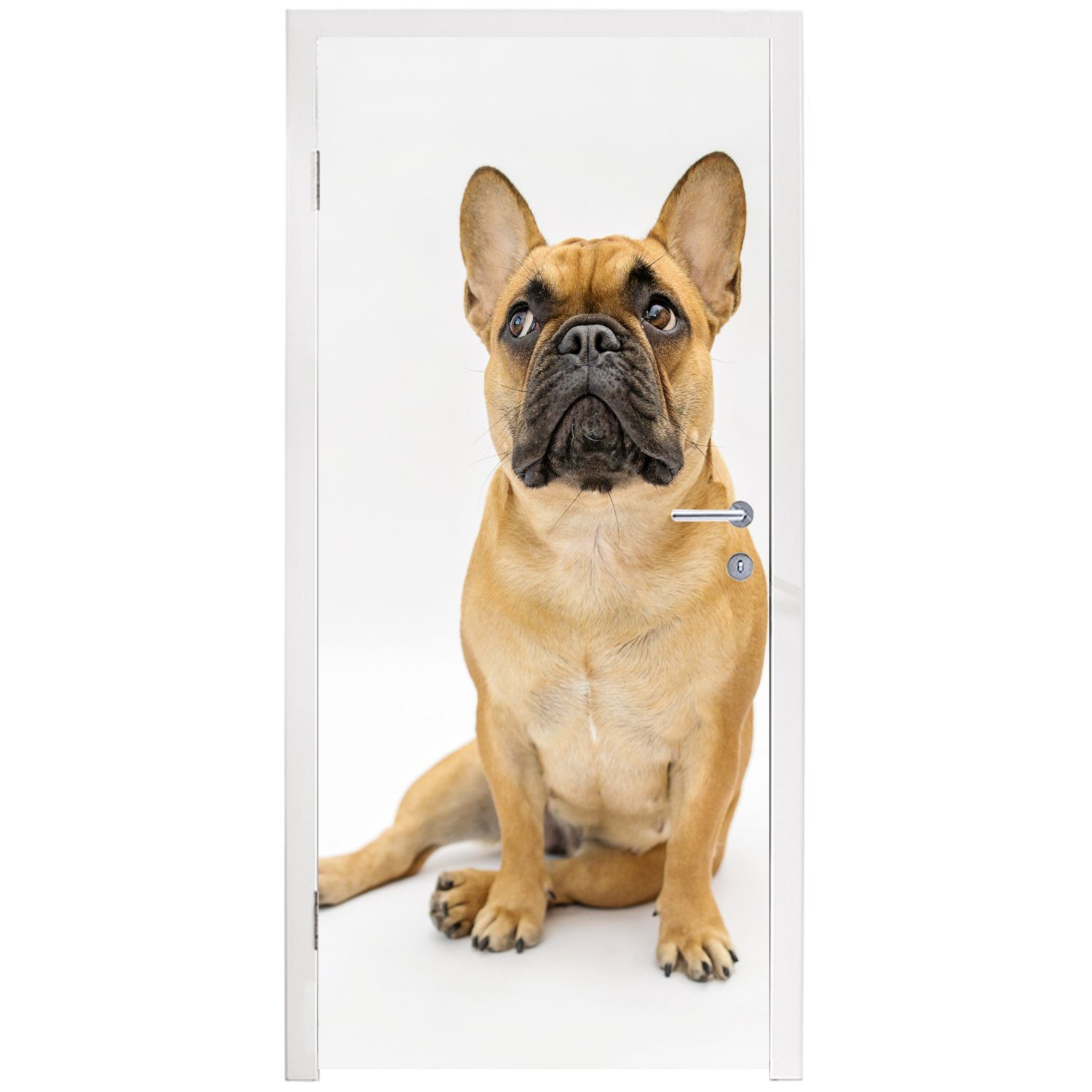 MuchoWow Türtapete Französische Bulldogge Fototapete 75x205 (1 cm - - Braun, St), Matt, Türaufkleber, Weiß Tür, bedruckt, für