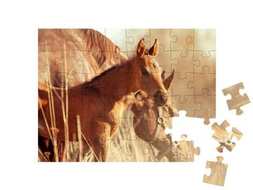puzzleYOU Puzzle Stute und Fohlen im Sonnenuntergang, 48 Puzzleteile, puzzleYOU-Kollektionen Fohlen, Pferde