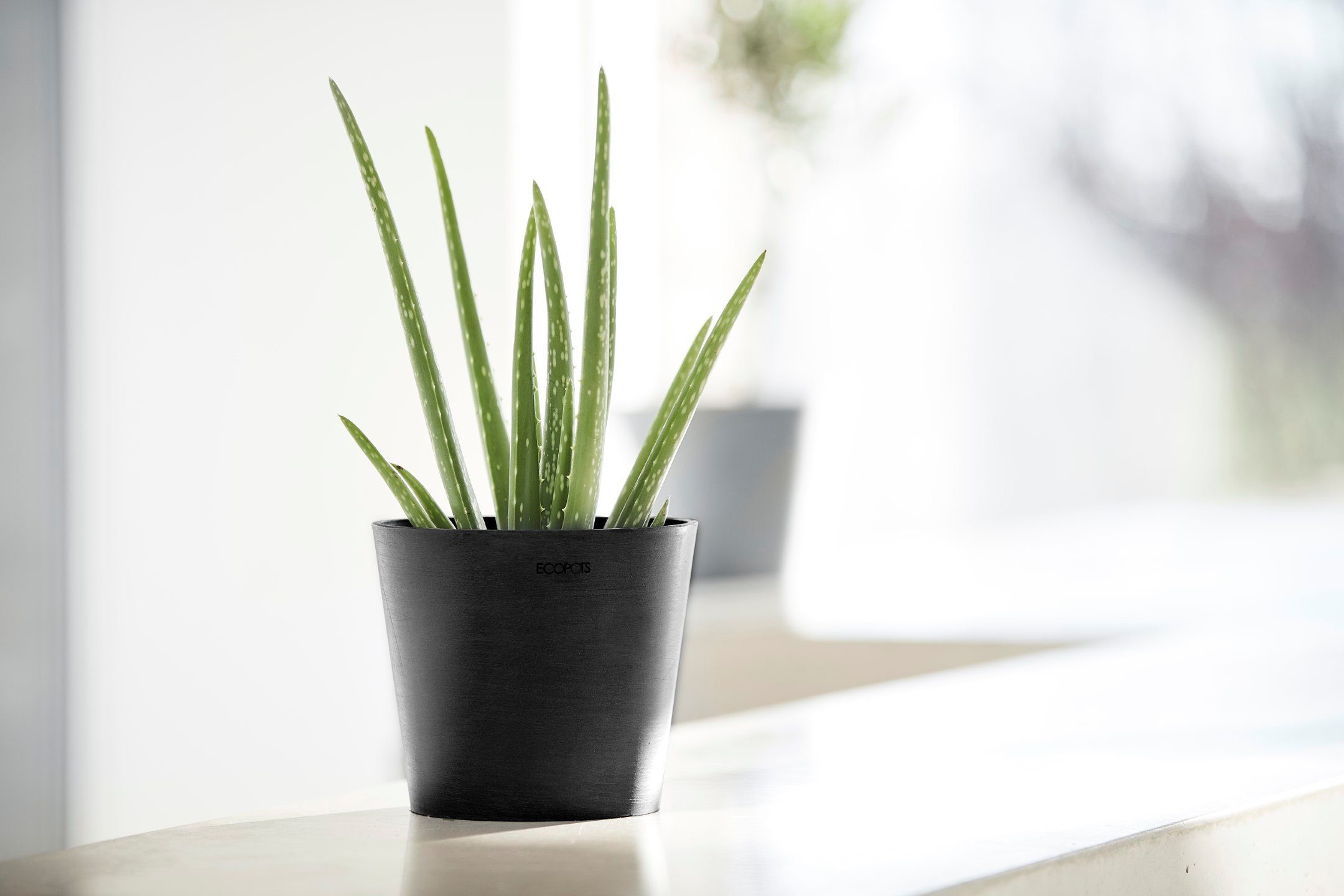 ECOPOTS Blumentopf AMSTERDAM Mini Dark Grey, günstig online kaufen