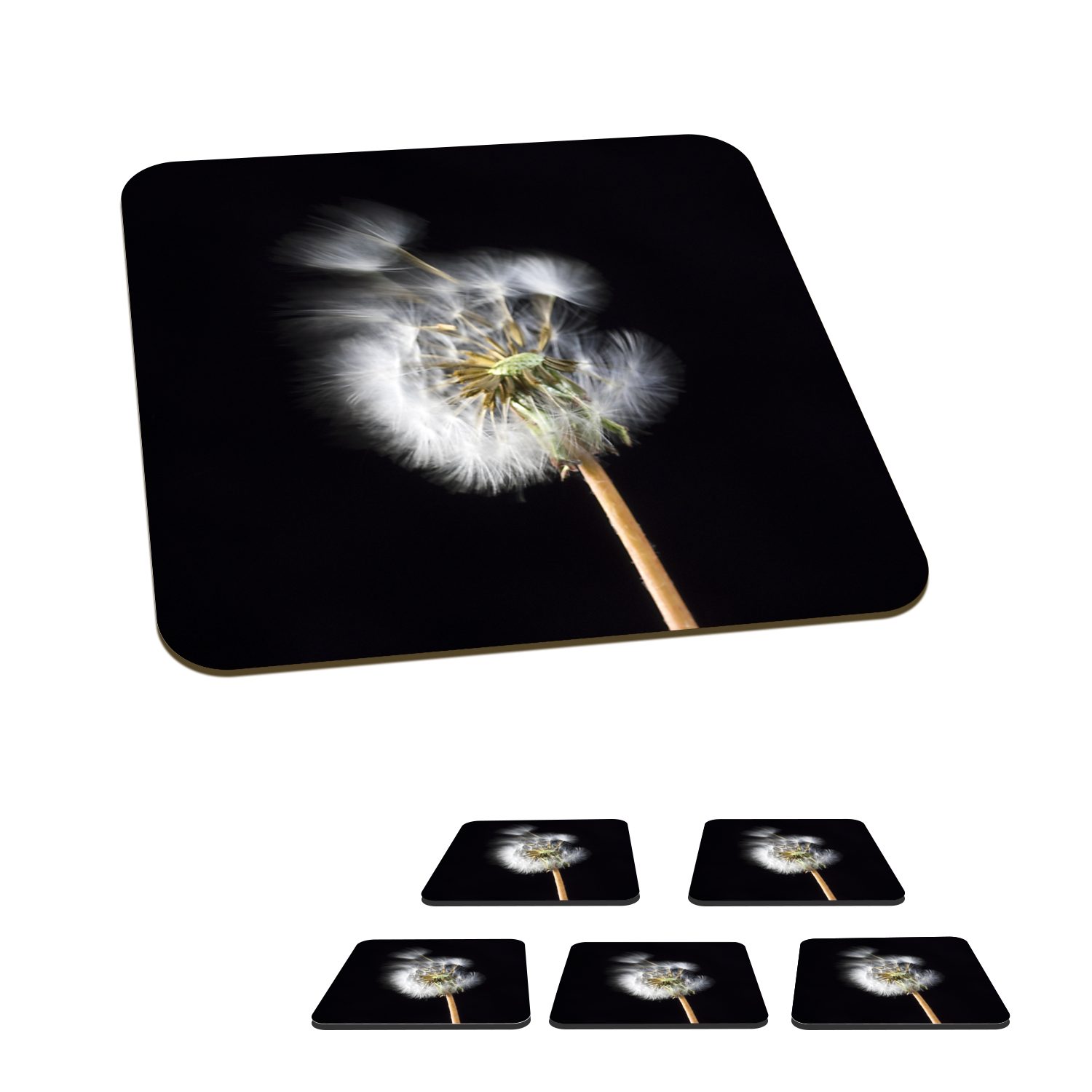 MuchoWow Glasuntersetzer Eine Pollenblume auf schwarzem Hintergrund, Zubehör für Gläser, 6-tlg., Glasuntersetzer, Tischuntersetzer, Korkuntersetzer, Untersetzer, Tasse