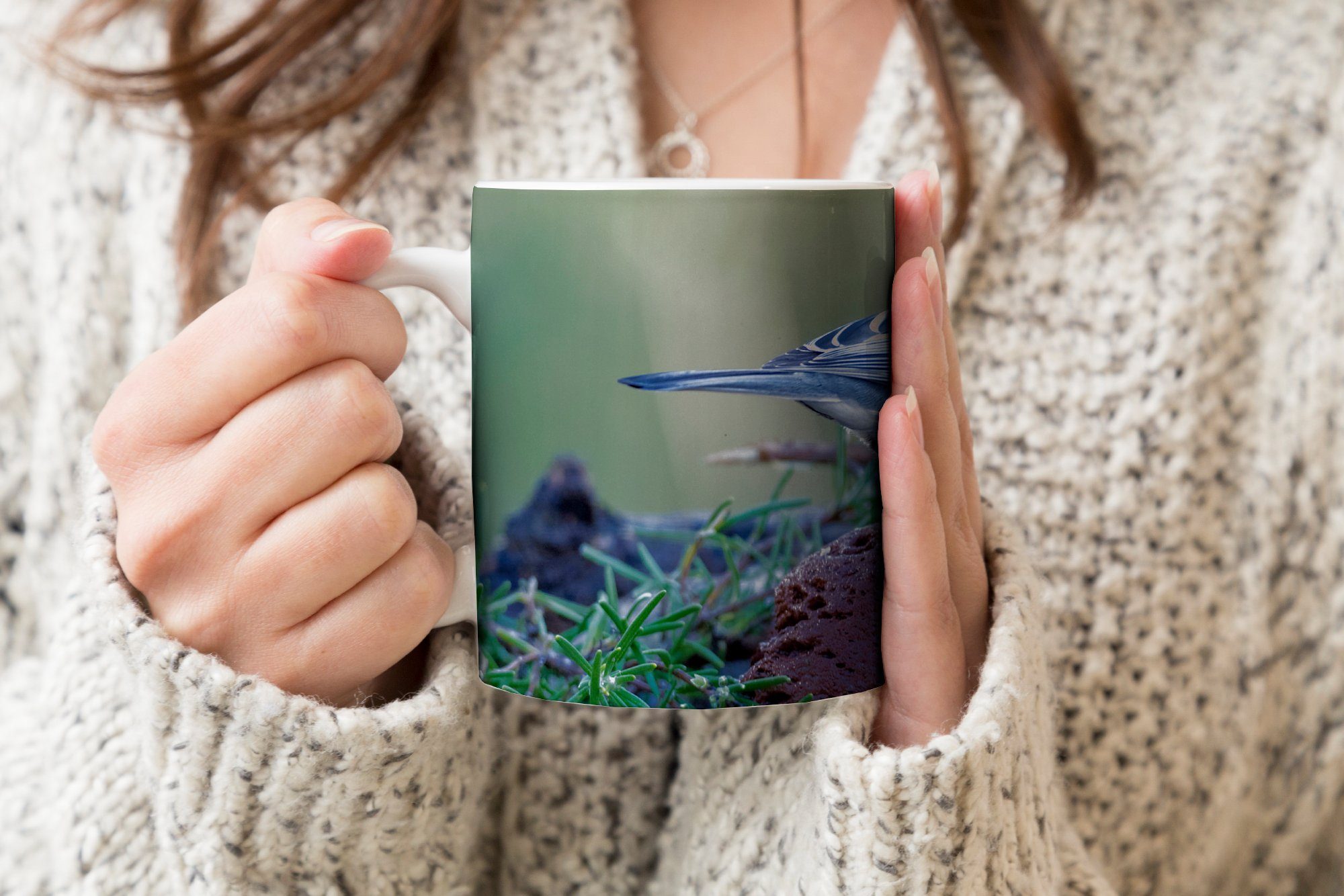 sitzt Kohlmeise Gras, und Eine am MuchoWow Becher, im Tasse Wasser Kaffeetassen, Keramik, Geschenk Teetasse, Teetasse,