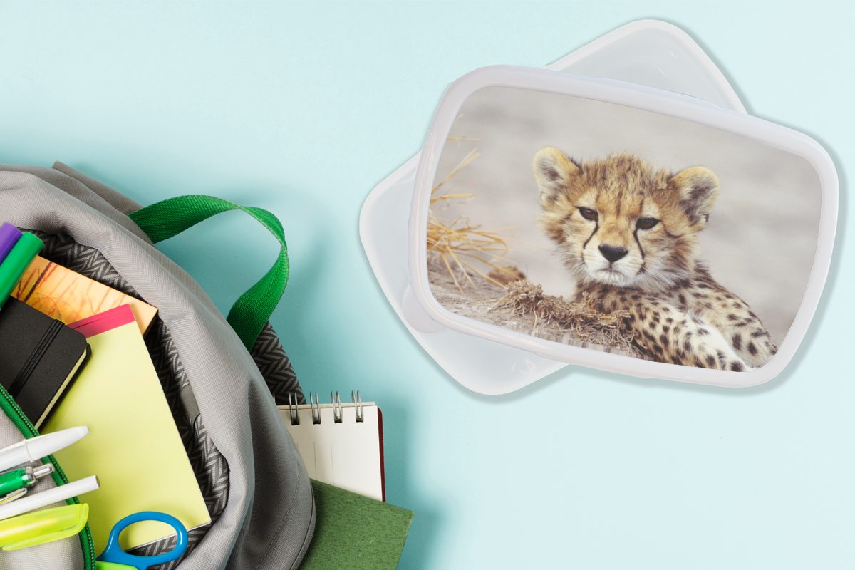und Gepard Brotbox Jungs Kinder (2-tlg), für Kunststoff, für Mädchen Erwachsene, weiß MuchoWow - - Porträt, und Jung Lunchbox Brotdose,