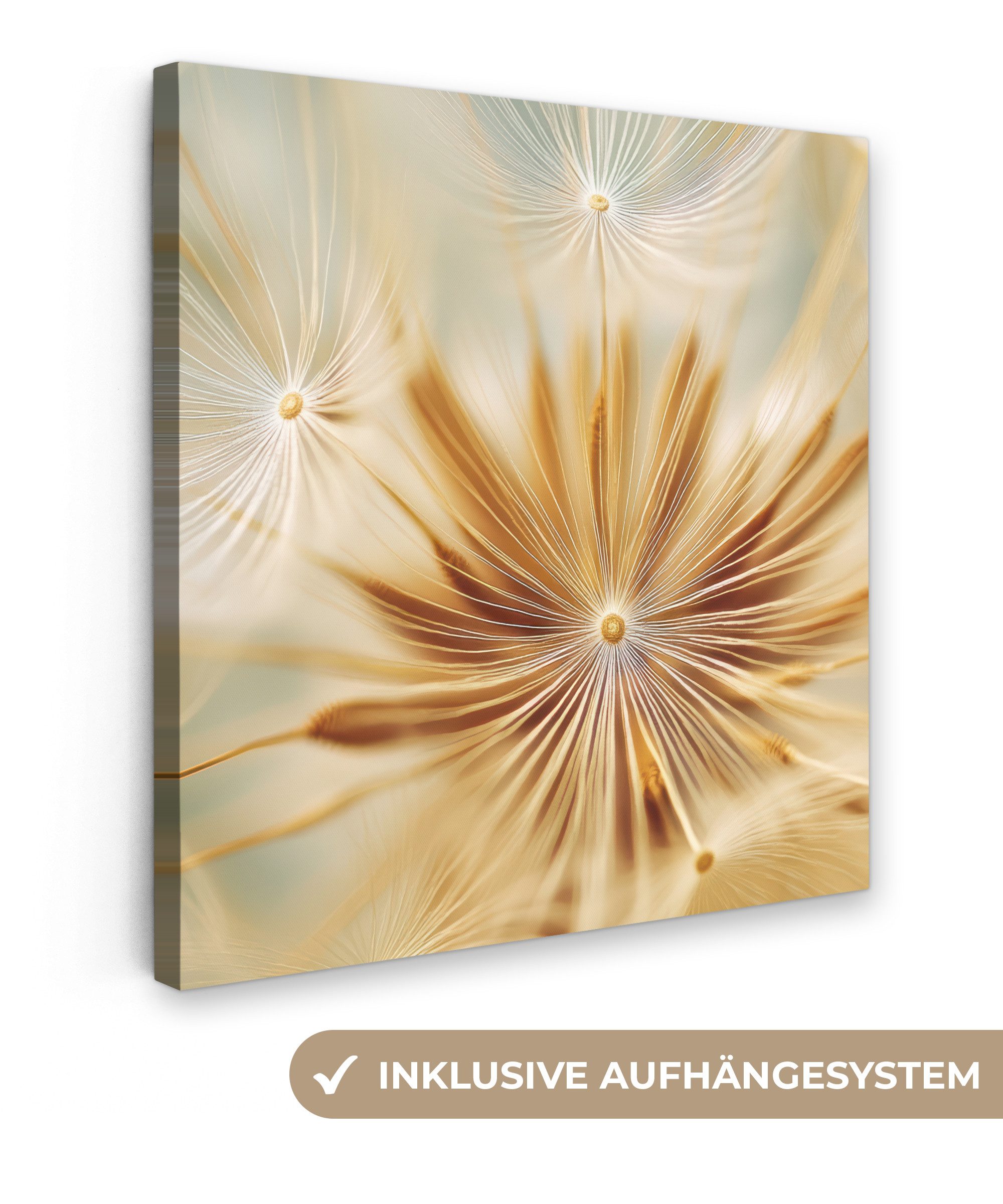 OneMillionCanvasses® Leinwandbild Löwenzahn - Beige - günstig online kaufen