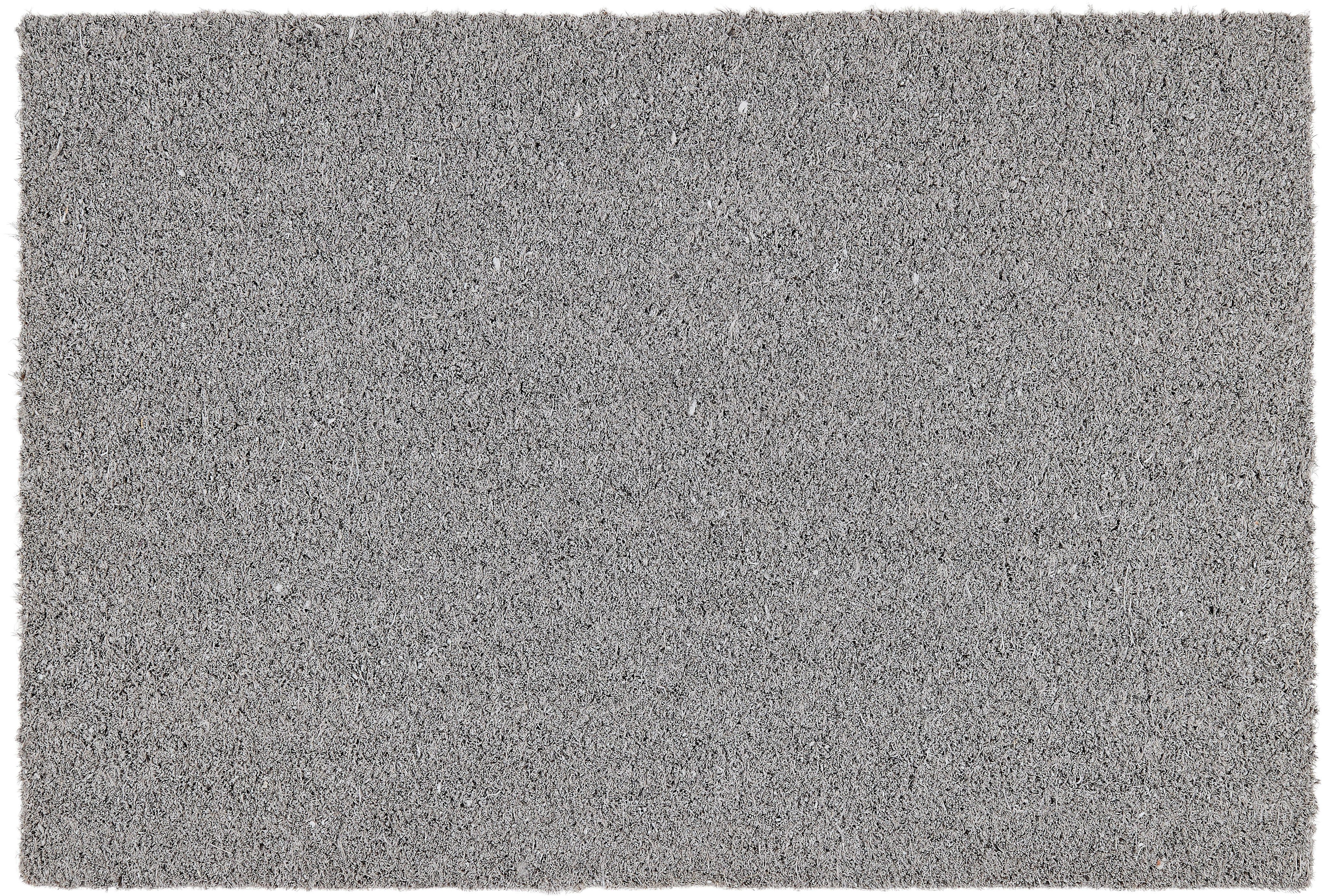 ASTRA Fußmatte Coco Color Trend, rechteckig, günstig online kaufen