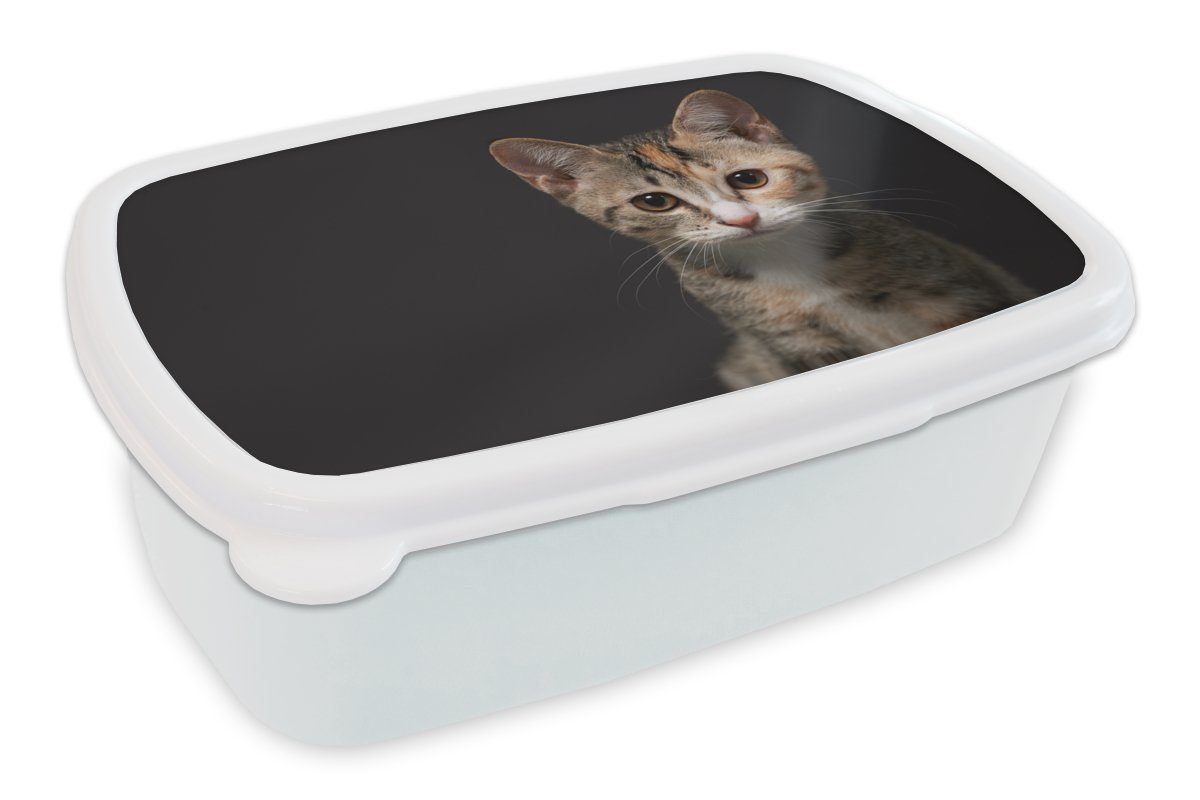 MuchoWow Lunchbox Katze - Schwarz - Porträt, Kunststoff, (2-tlg), Brotbox für Kinder und Erwachsene, Brotdose, für Jungs und Mädchen weiß