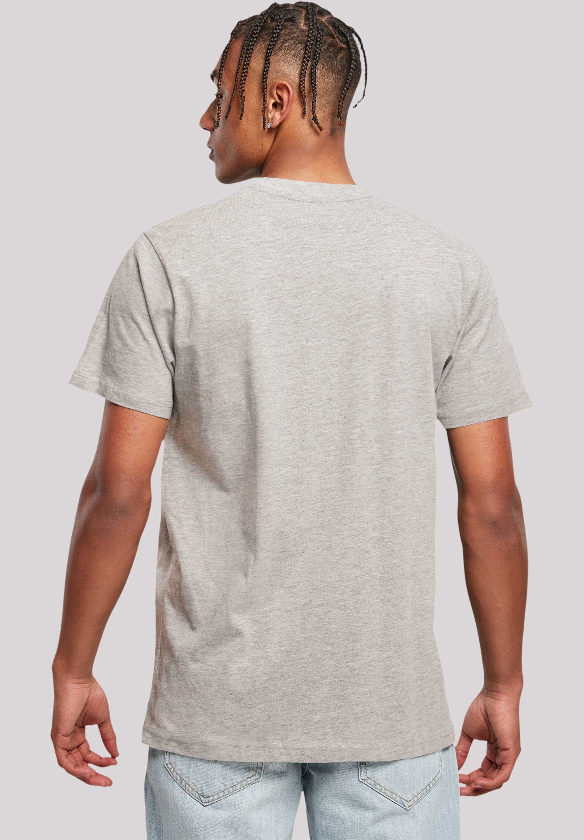 F4NT4STIC T-Shirt Go North Print heather grey