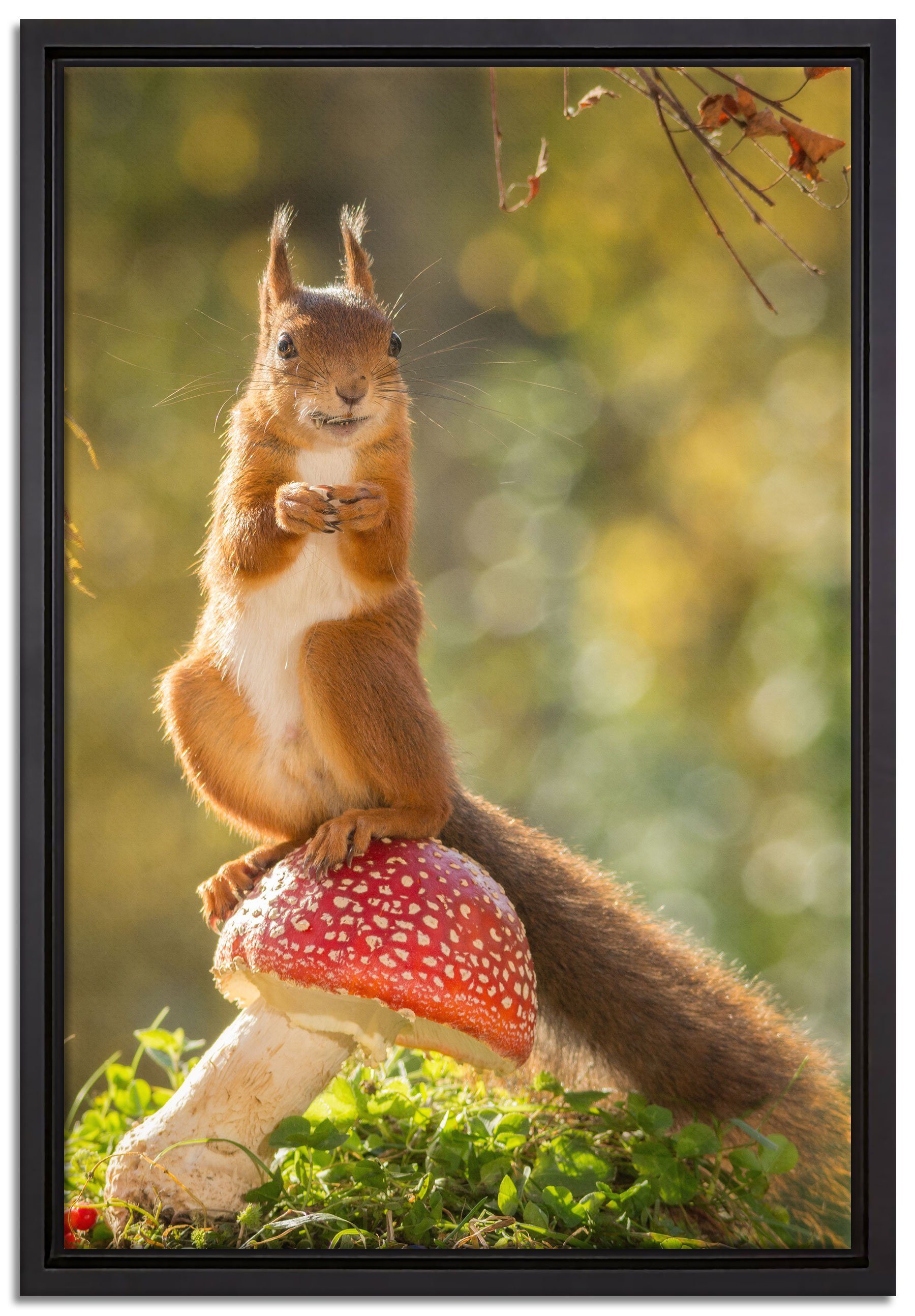 Pixxprint Leinwandbild Eichhörnchen auf Fliegenpilz, Wanddekoration (1 St), Leinwandbild fertig bespannt, in einem Schattenfugen-Bilderrahmen gefasst, inkl. Zackenaufhänger