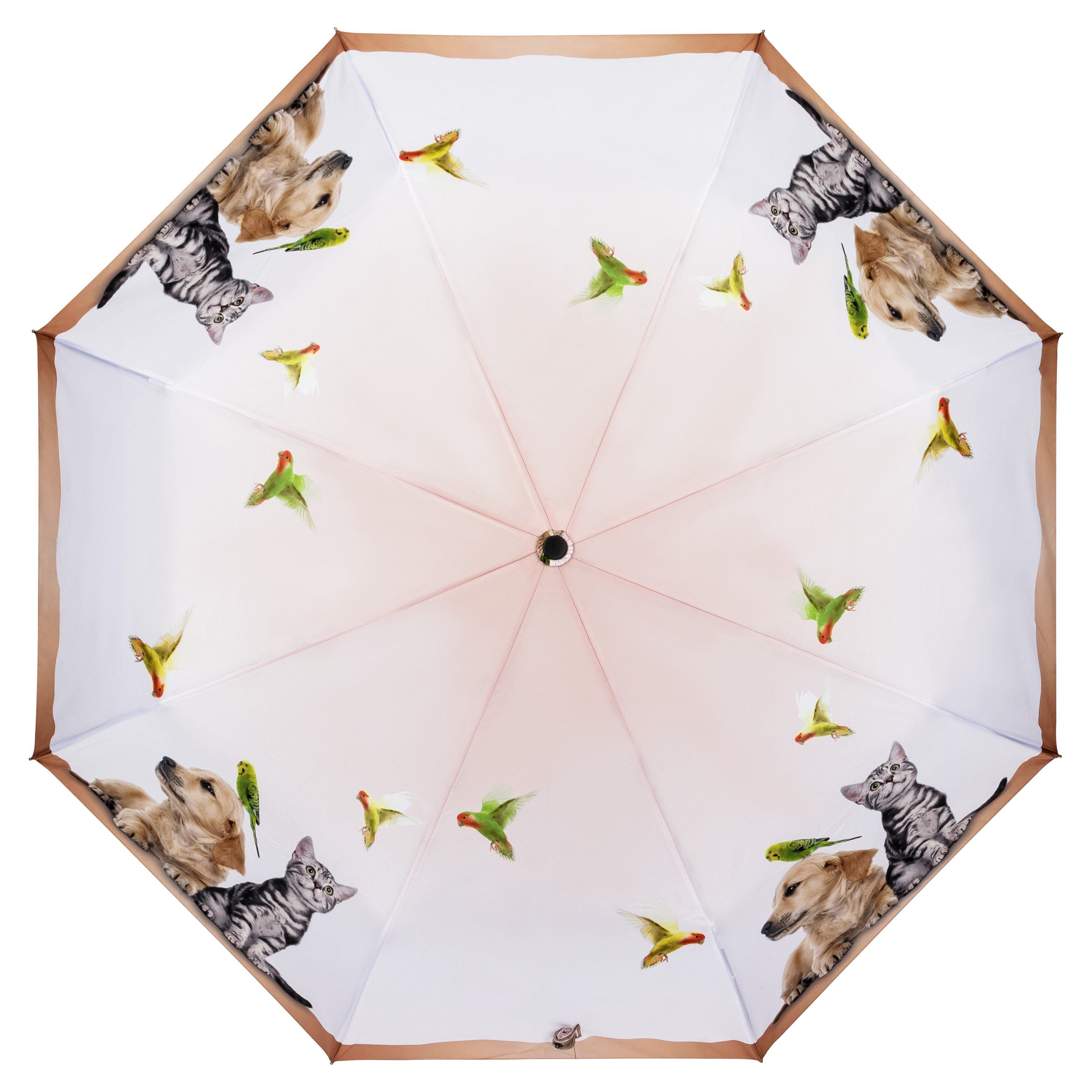 Welpe Motivschirm bedruckt mit Vogel von Lilienfeld Auf-Zu-Automatik Tierleben Leicht, Taschenregenschirm Tiermotiv Kätzchen