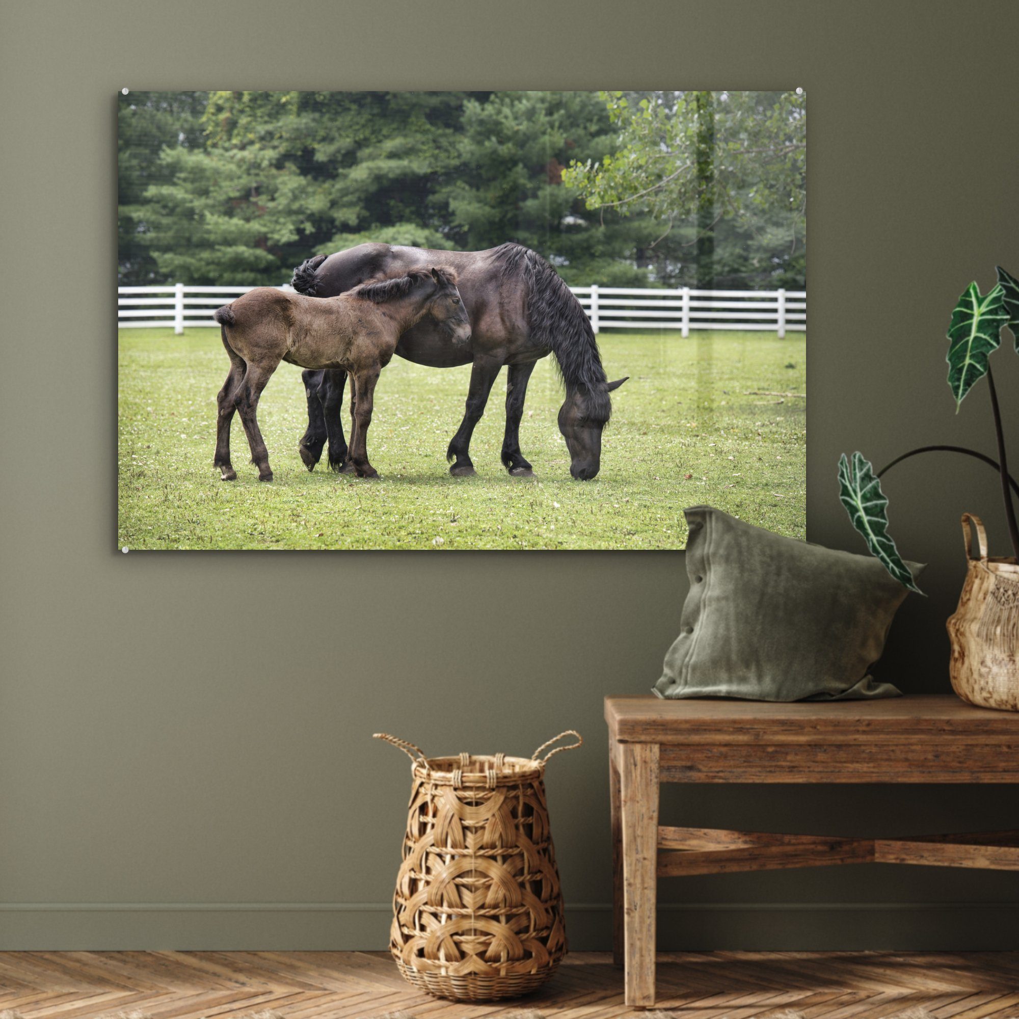 - (1 Acrylglasbilder Pferde & Acrylglasbild Schlafzimmer Gras MuchoWow St), Wohnzimmer Baum, -
