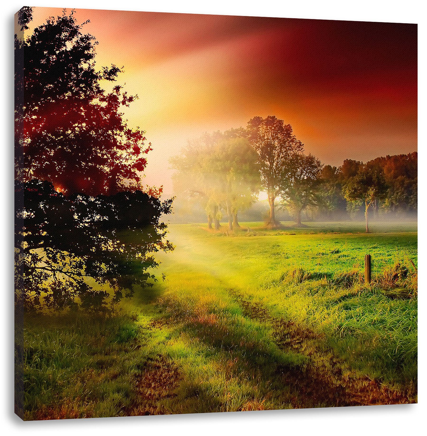 Leinwandbild Sonnenuntergang an Lichtung