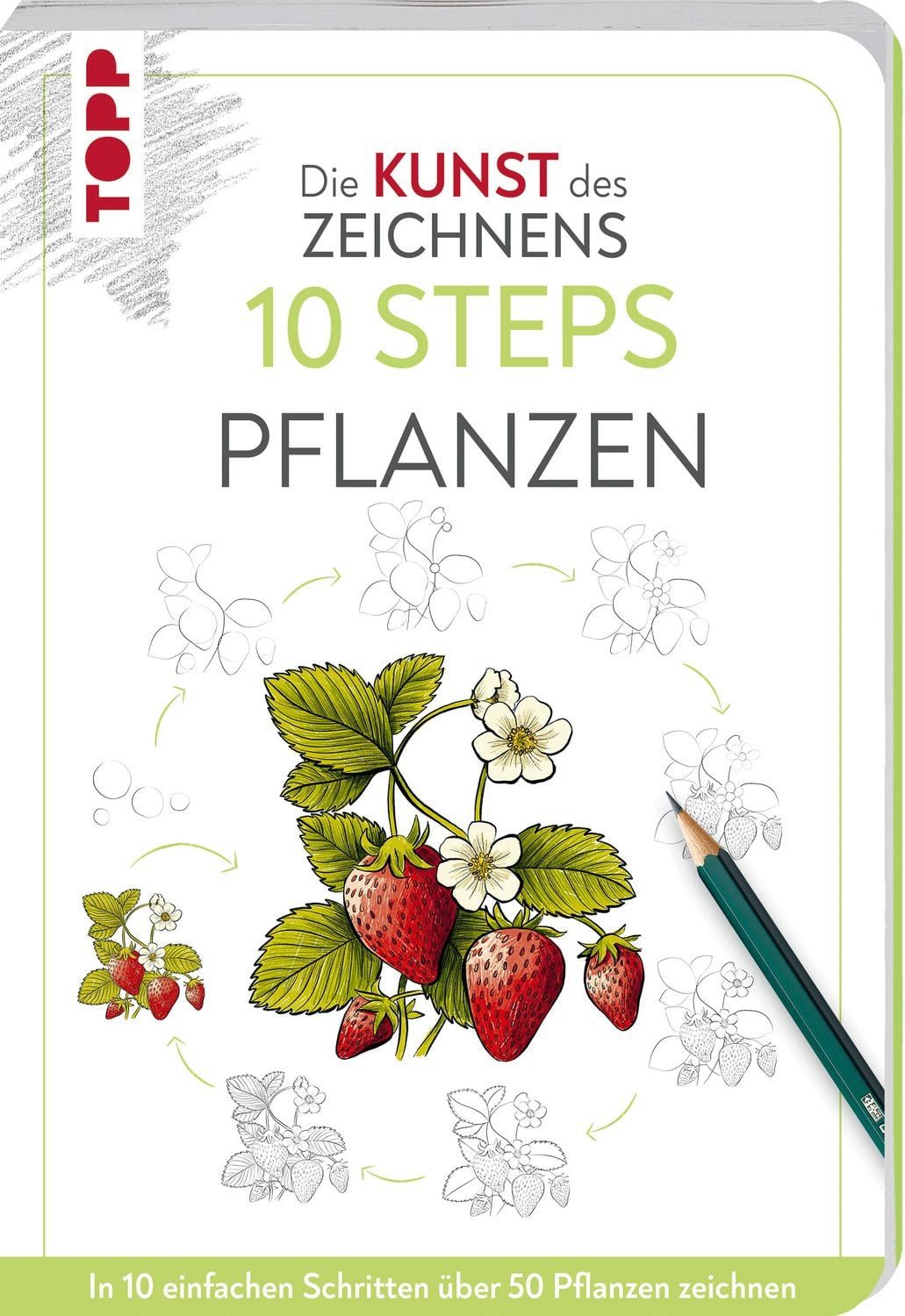 Die Kunst des Zeichnens 10 Steps - Pflanzen / Justine Lecouffe