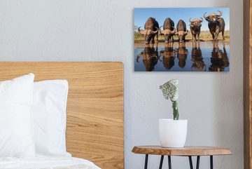 OneMillionCanvasses® Leinwandbild Büffel trinken Wasser, (1 St), Wandbild Leinwandbilder, Aufhängefertig, Wanddeko, 30x20 cm