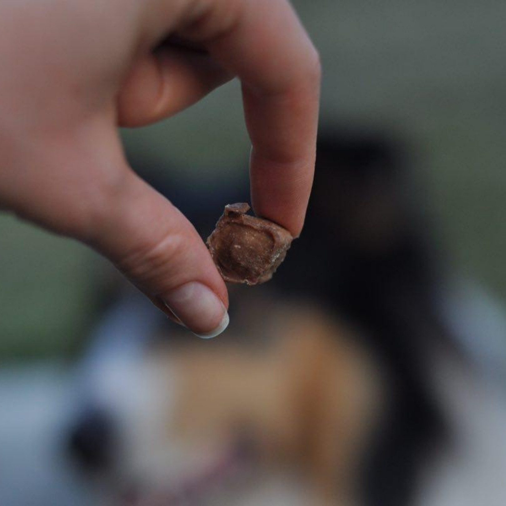 Tales & Tails Pferd voll drauf ab - Trainingsleckerli 100% Pferd, für: Hunde, Getreidefrei