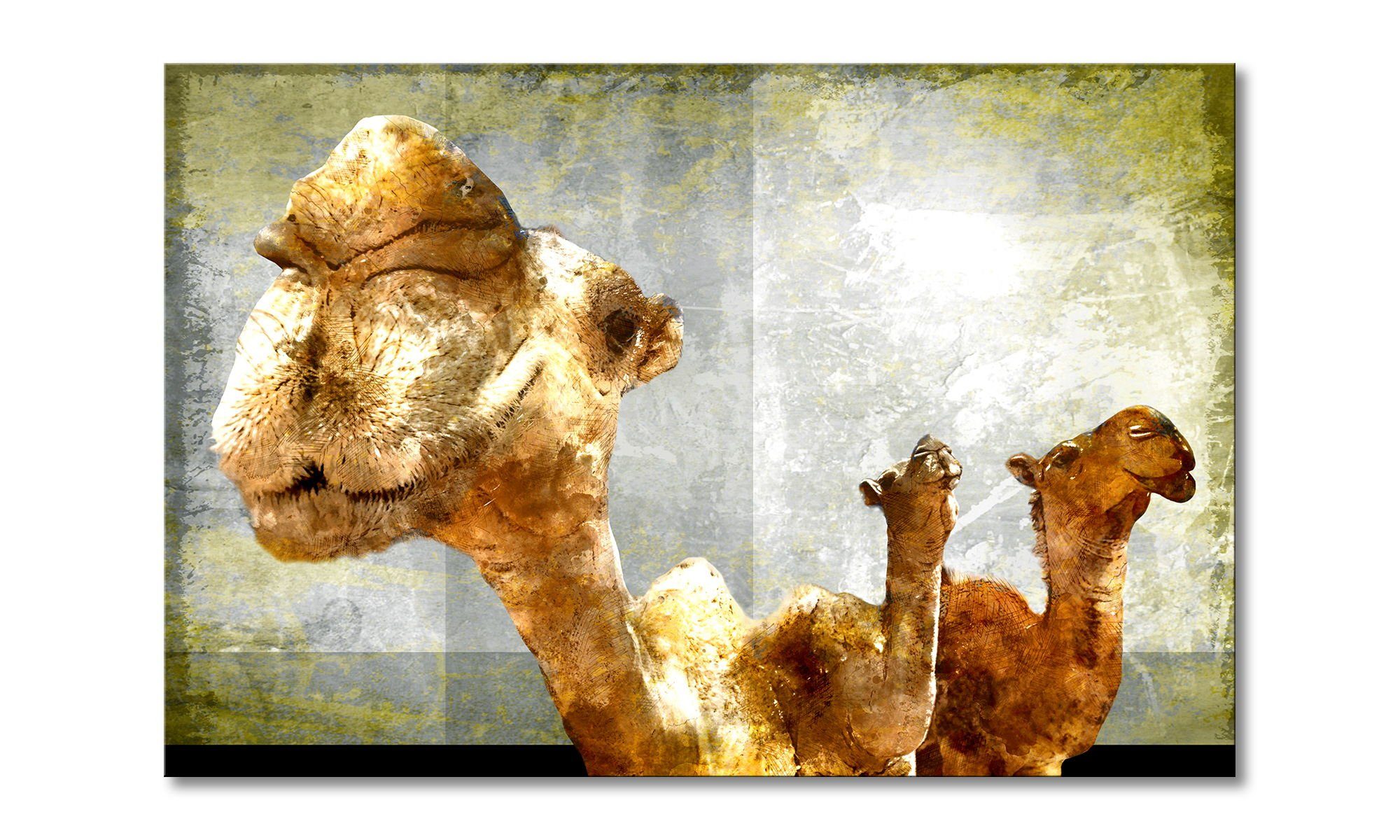 Leinwandbild Camel Gang