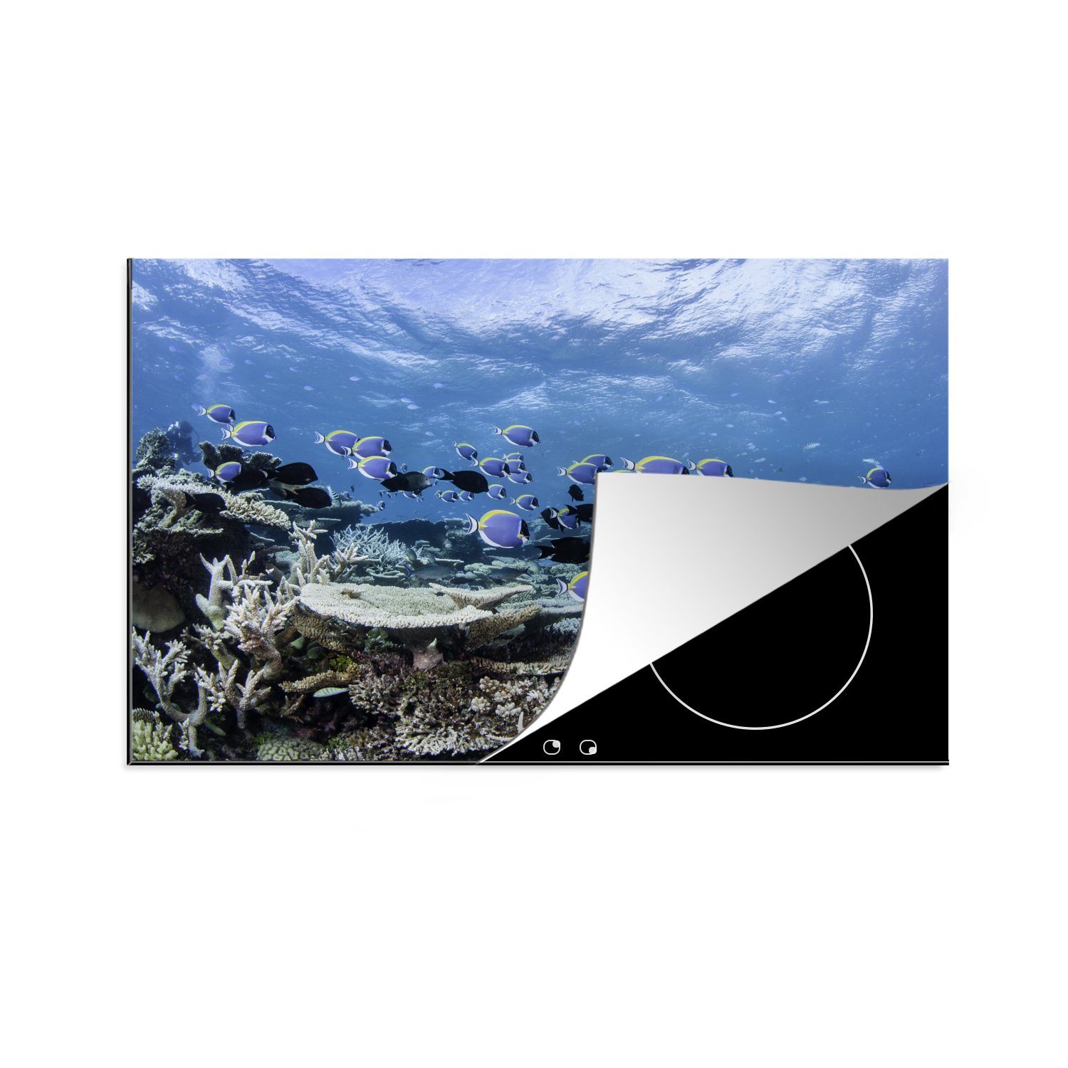 MuchoWow Herdblende-/Abdeckplatte Korallen in einem blauen Ozean, Vinyl, (1 tlg), 81x52 cm, Induktionskochfeld Schutz für die küche, Ceranfeldabdeckung