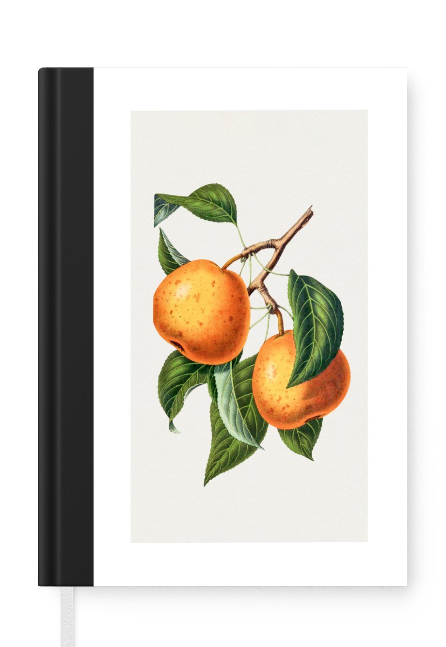 MuchoWow Notizbuch Früchte - Blätter - Lebensmittel, Journal, Merkzettel, Tagebuch, Notizheft, A5, 98 Seiten, Haushaltsbuch