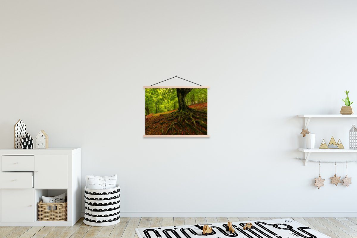 MuchoWow Poster Baum - Wald - Herbstblätter, (1 St), Posterleiste, Textilposter für Wohnzimmer, Bilderleiste, Magnetisch