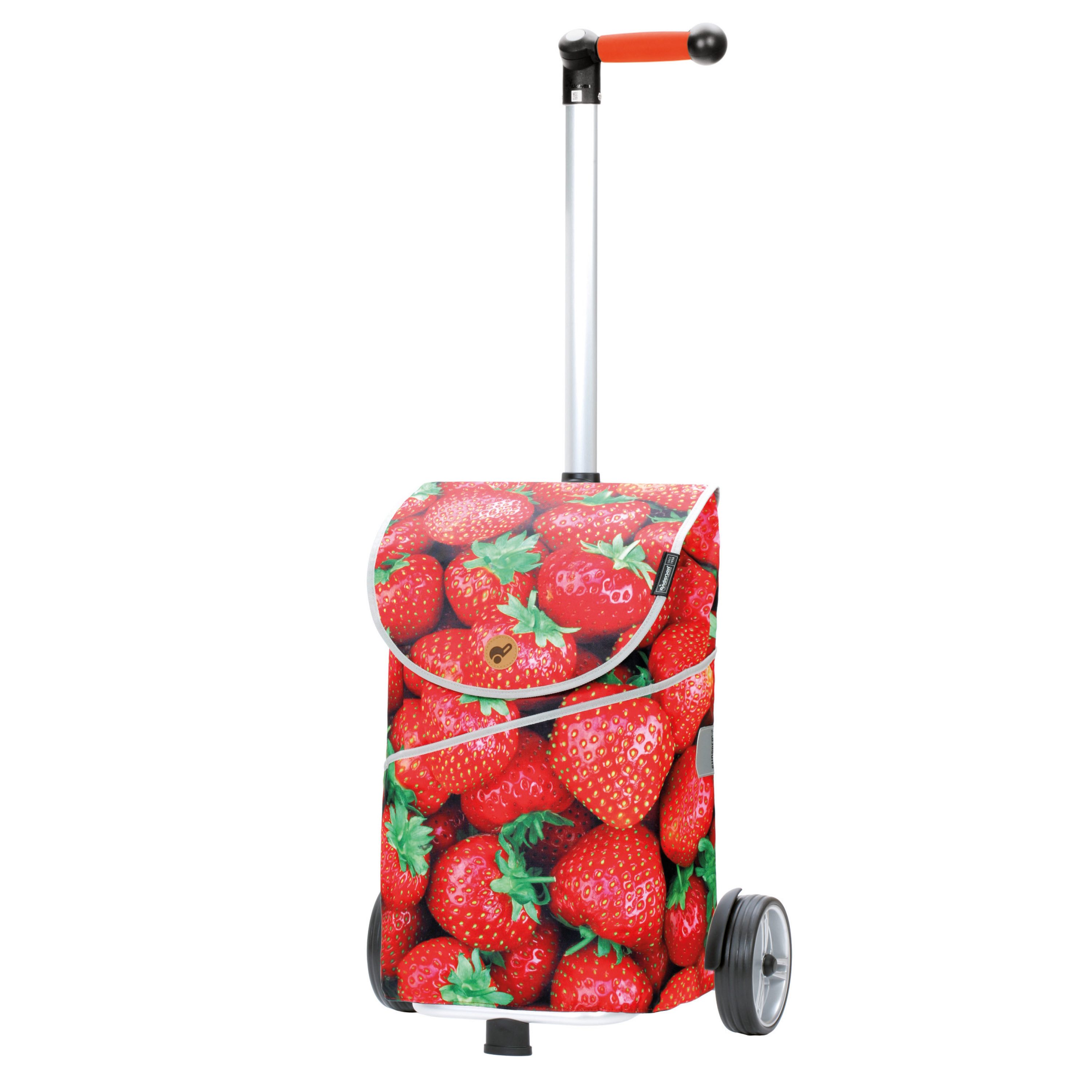 Andersen Einkaufstrolley Unus Shopper MIX A30, günstig online kaufen