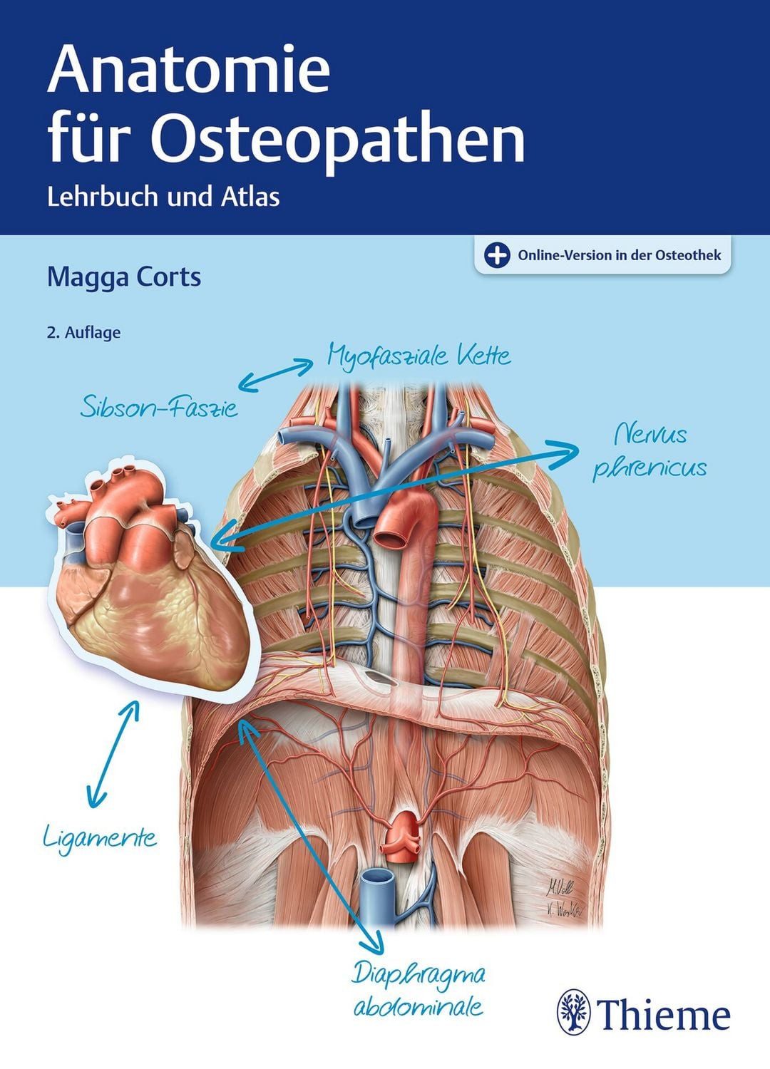 Anatomie für Osteopathen / Magga Corts