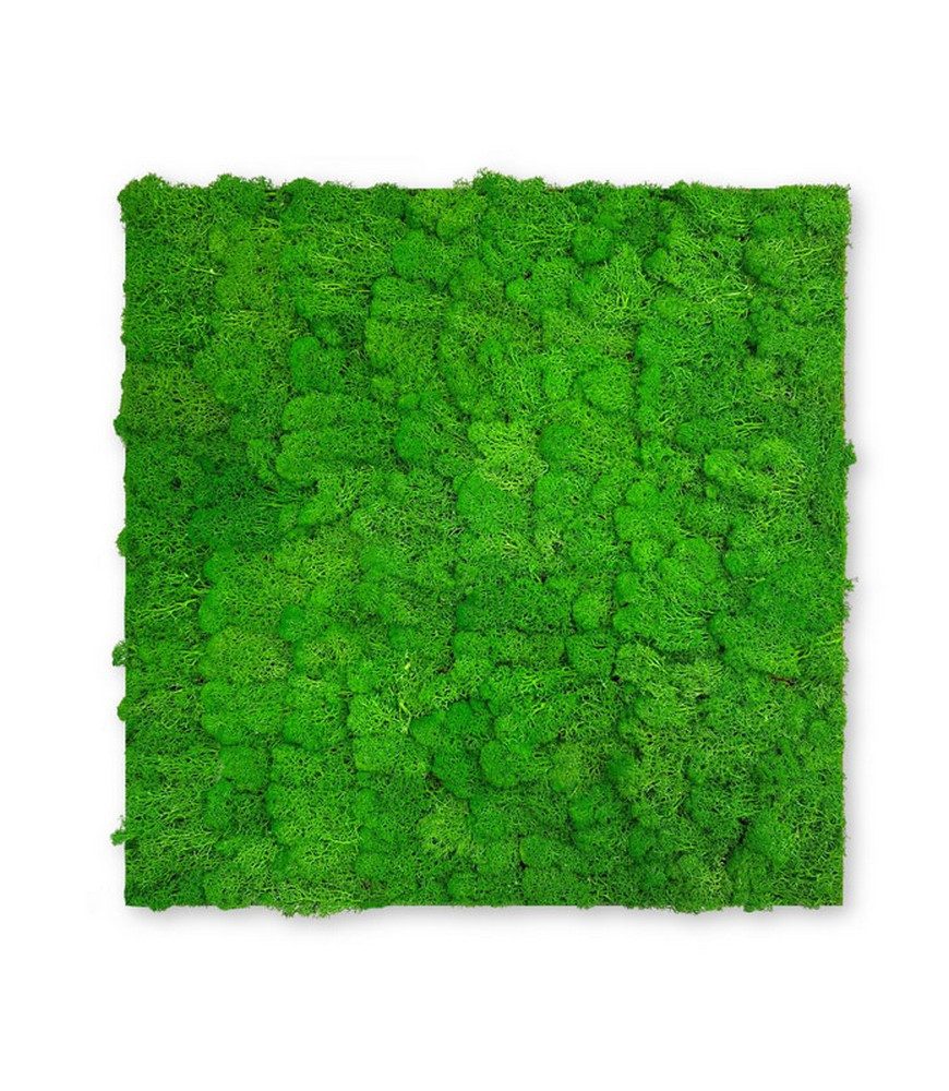 JANGAL 3D Wandpaneel Modular Wall Akustikpaneel, Die Holz- und Steinoberflächen sind aus Echtholz- und Echtsteinfurnier