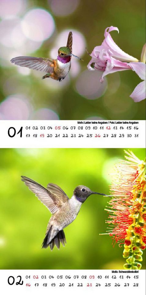 Thumbnail - Seelenzauber Tischkalender Kolibirzauber Kalender für 2025 Format 10cm x 10cm Vögel