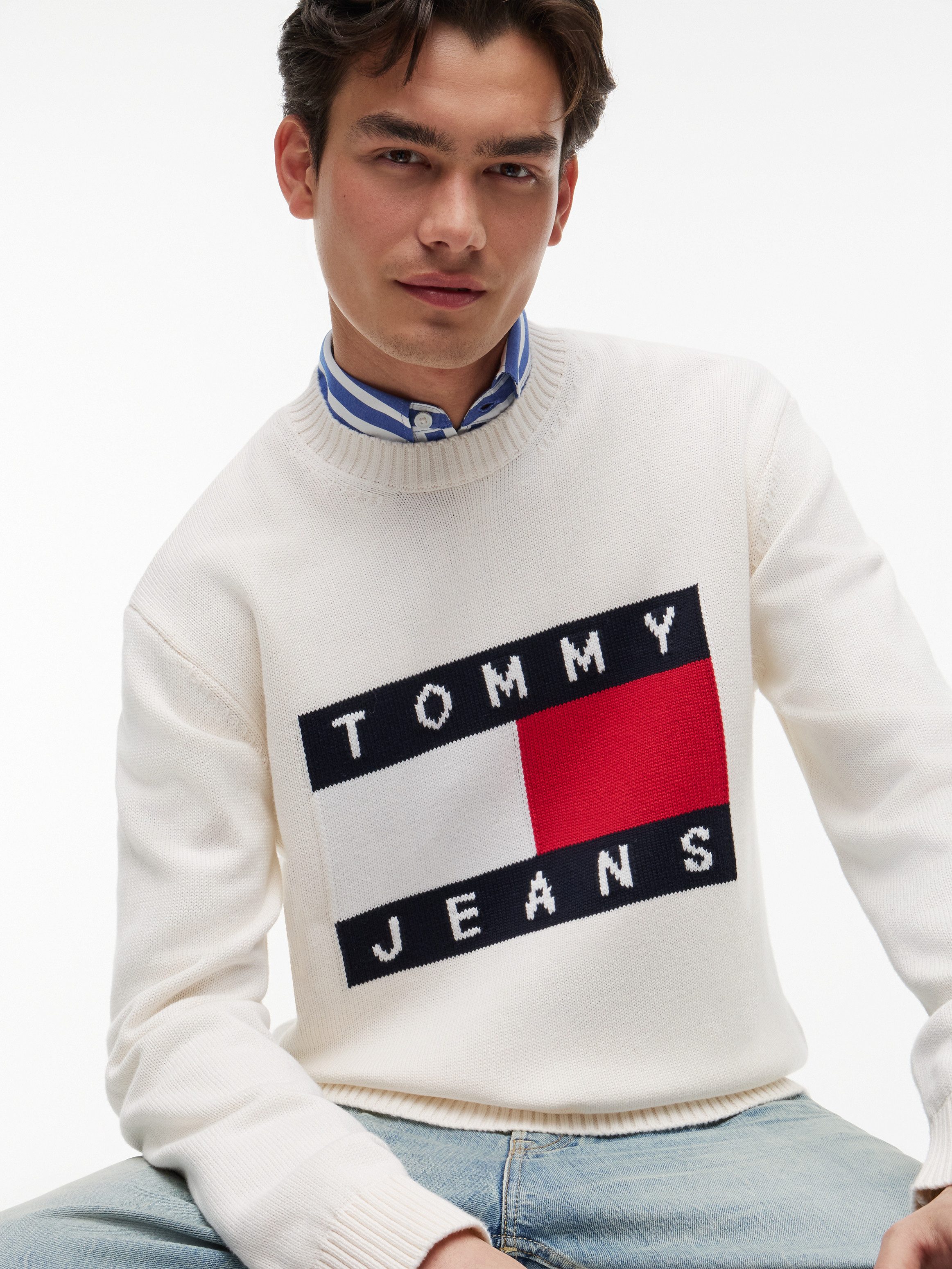 Tommy Jeans Strickpullover REGULAR FLAG SWEATER Regular fit mit Rundhalsausschnitt