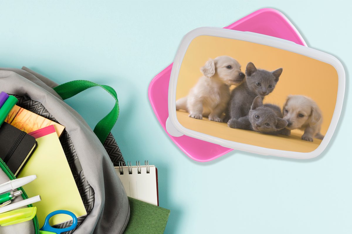 Erwachsene, (2-tlg), - rosa Brotbox - Kätzchen Kunststoff, MuchoWow für Snackbox, Lunchbox Kinder, Tiere, Welpe Brotdose Mädchen, Kunststoff