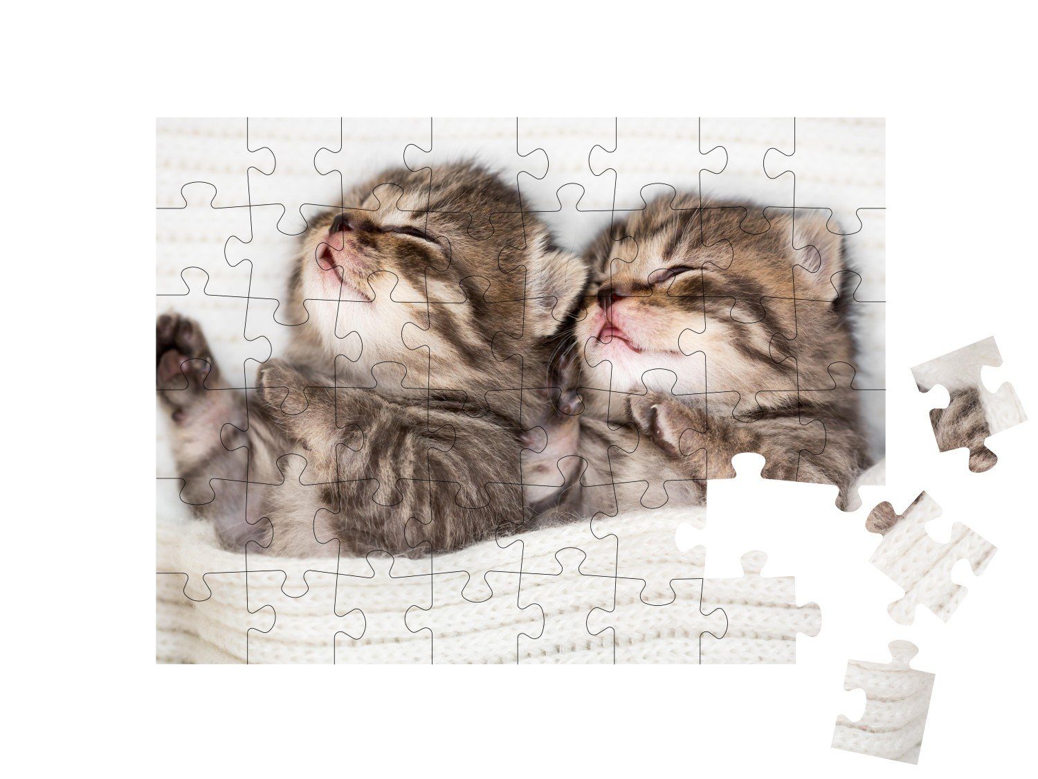 schlafende Puzzle Puzzleteile, Babykätzchen, puzzleYOU Tiere, puzzleYOU-Kollektionen Katzen-Puzzles 48 Zwei