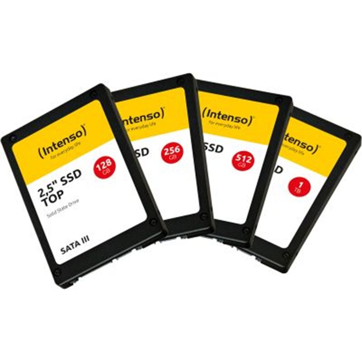 Intenso 2.5" 1TB Intenso Top Performance Speicherkarte (1000 GB, 550 MB/s Lesegeschwindigkeit)